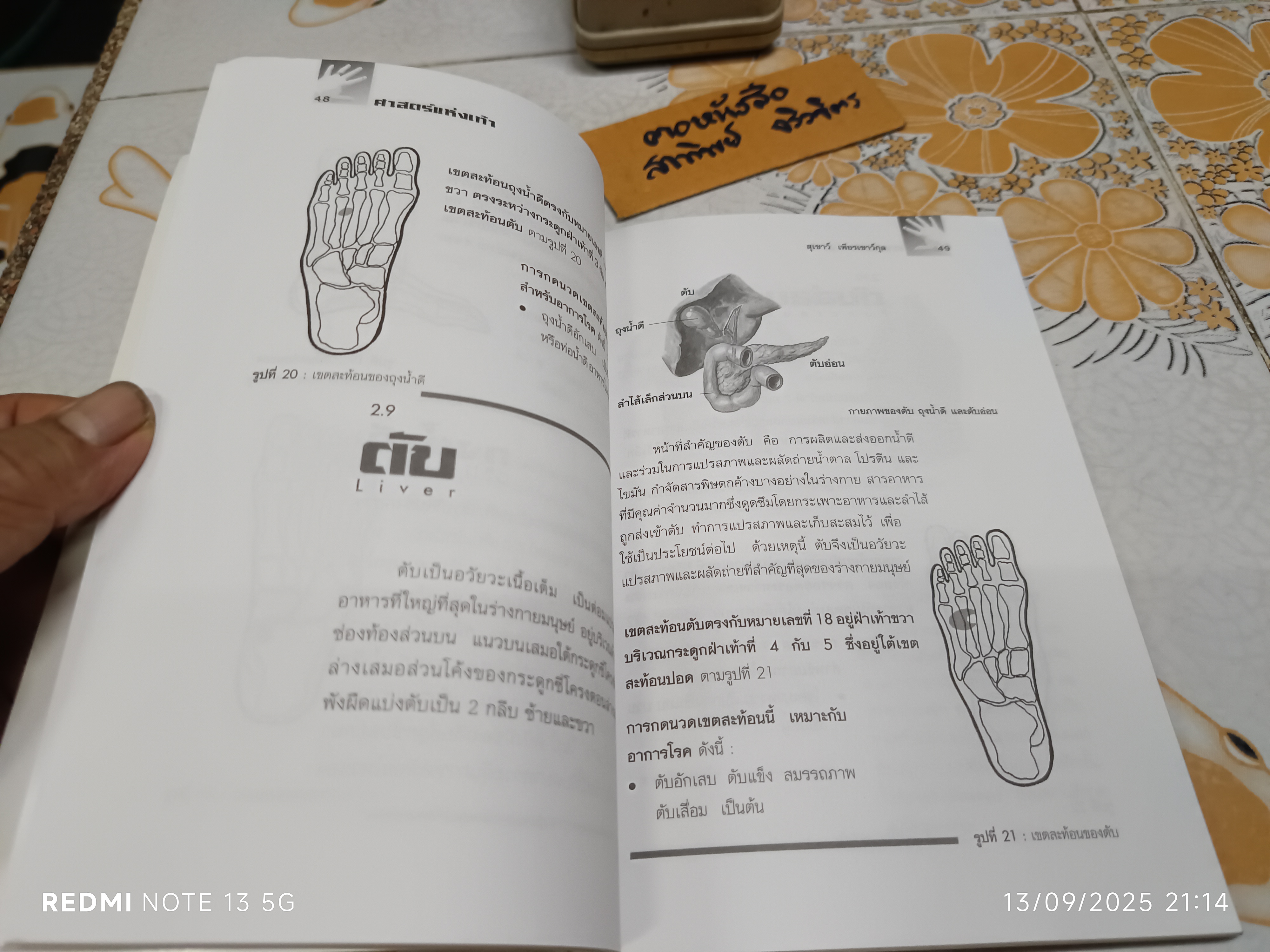 ศาสตร์แห่งเท้า โดย สุเชาว์ เพียรเชาว์กุล พิมพ์ครั้งแรก พ.ศ. 2543