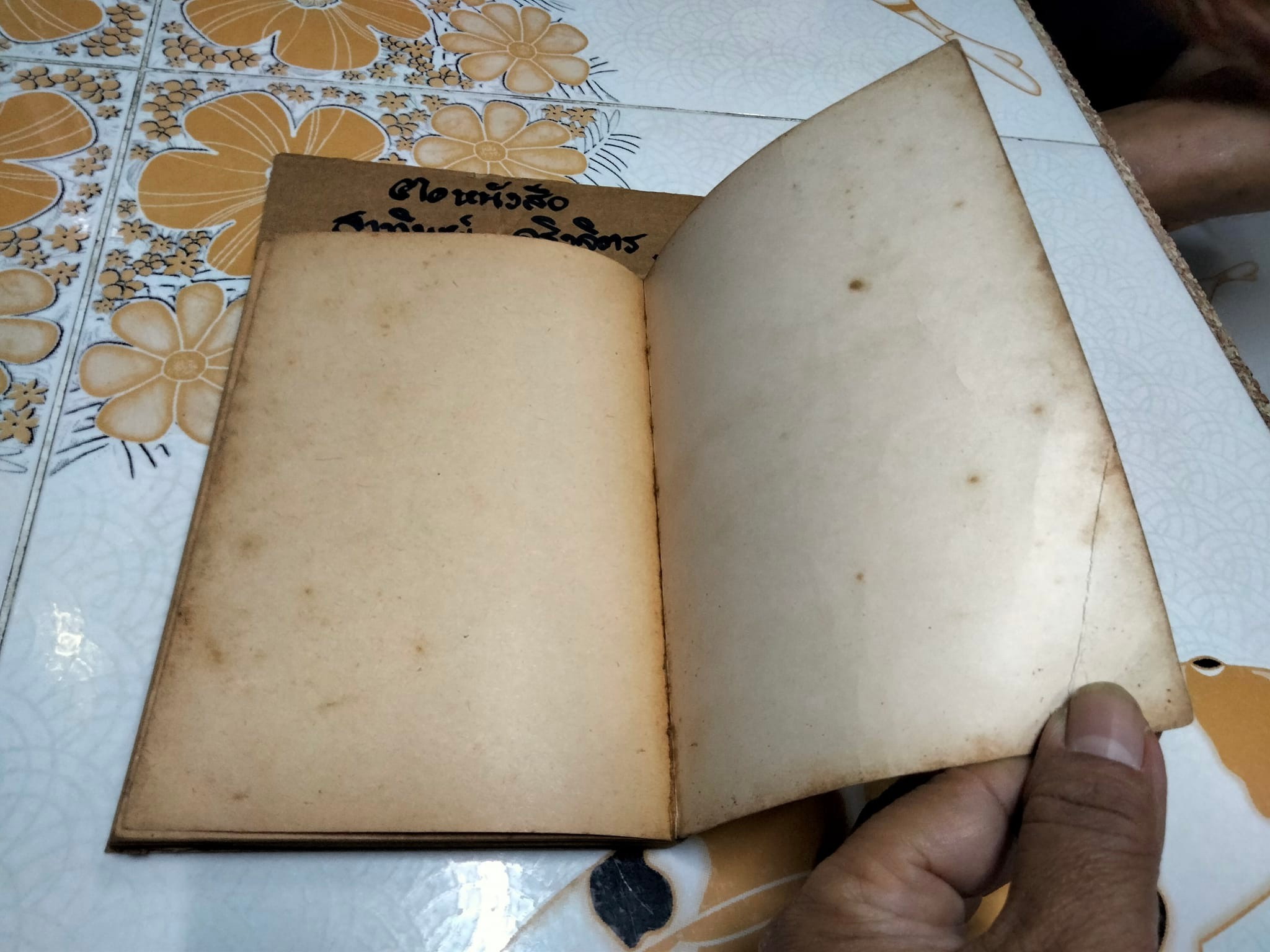 แมงมุมเพื่อนรัก แปลจาก Charlotte's Web ของ E.B. White (อี. บี. ไวท์) โดย มัลลิกา **สินค้าหมด**