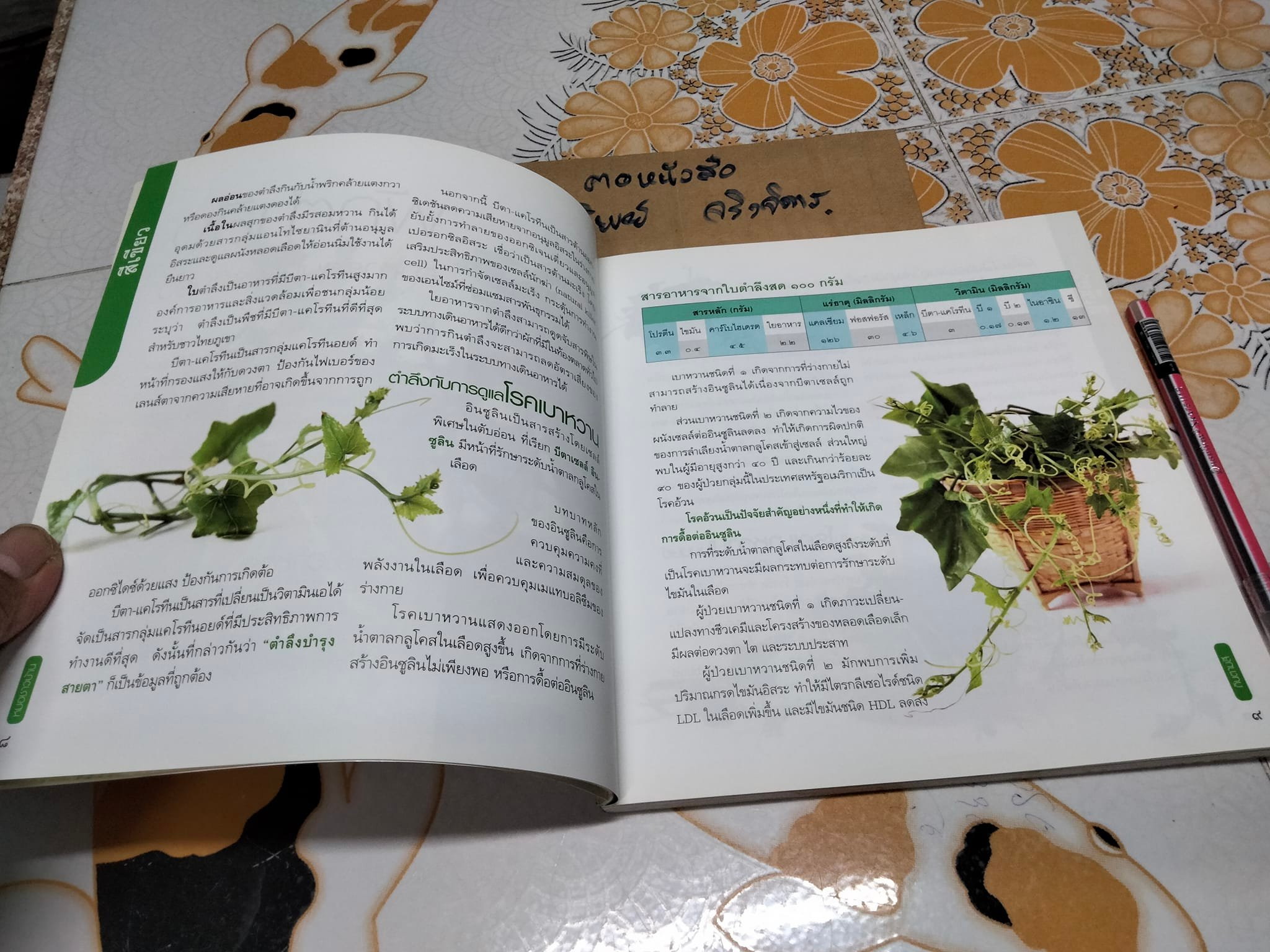 กินตามสี - รศ.ดร. กรณ์กาญจน์ ภมรประวัติ **สินค้าหมด**