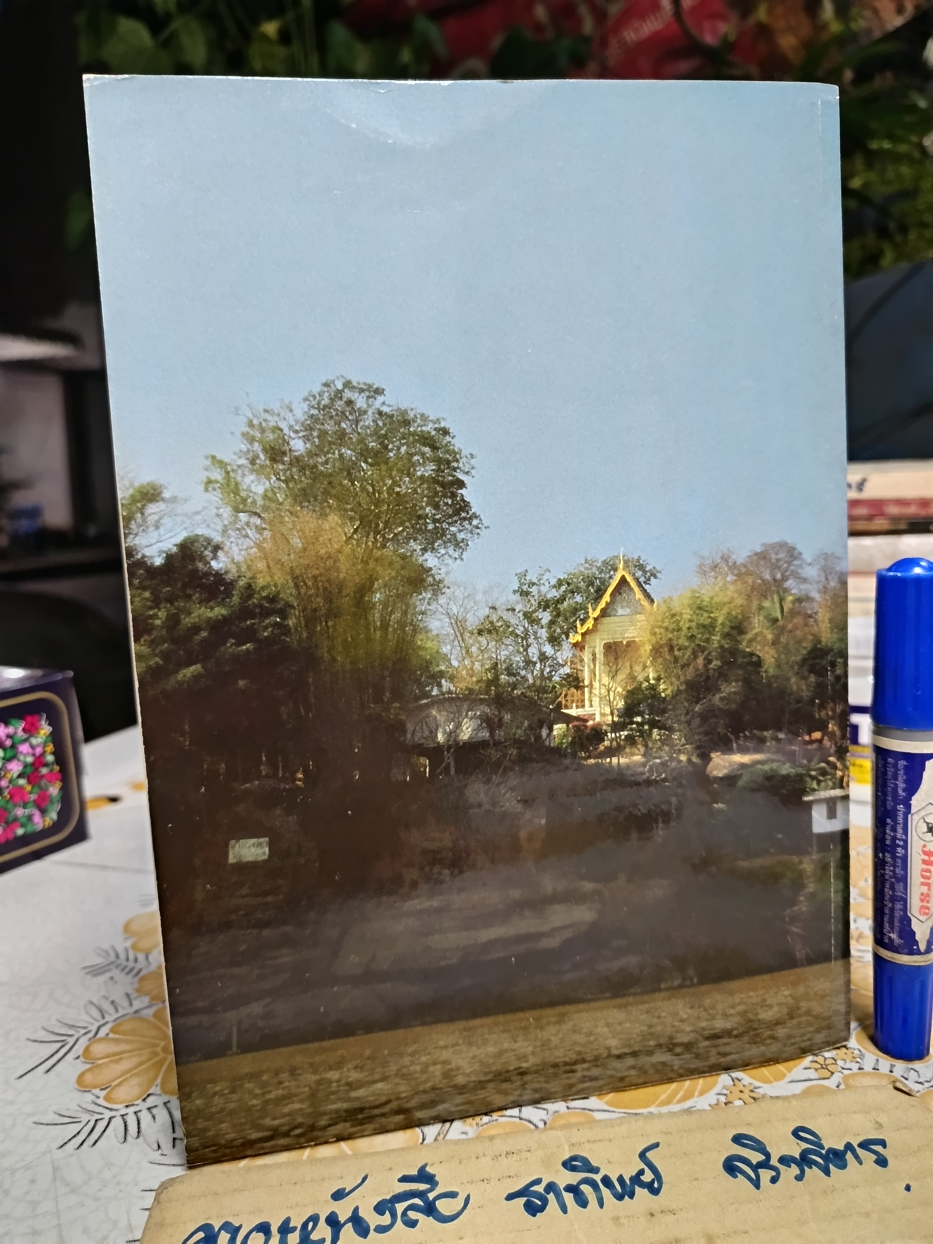 อัตตโนประวัติ พระนิโรธรังสีคัมภีรปัญญาจารย์ (เทสก์ เทสรังสี), ประวัติวัดอรัญญวาสี และ ประวัติวัดหินหมากเป้ง **สินค้าหมด**