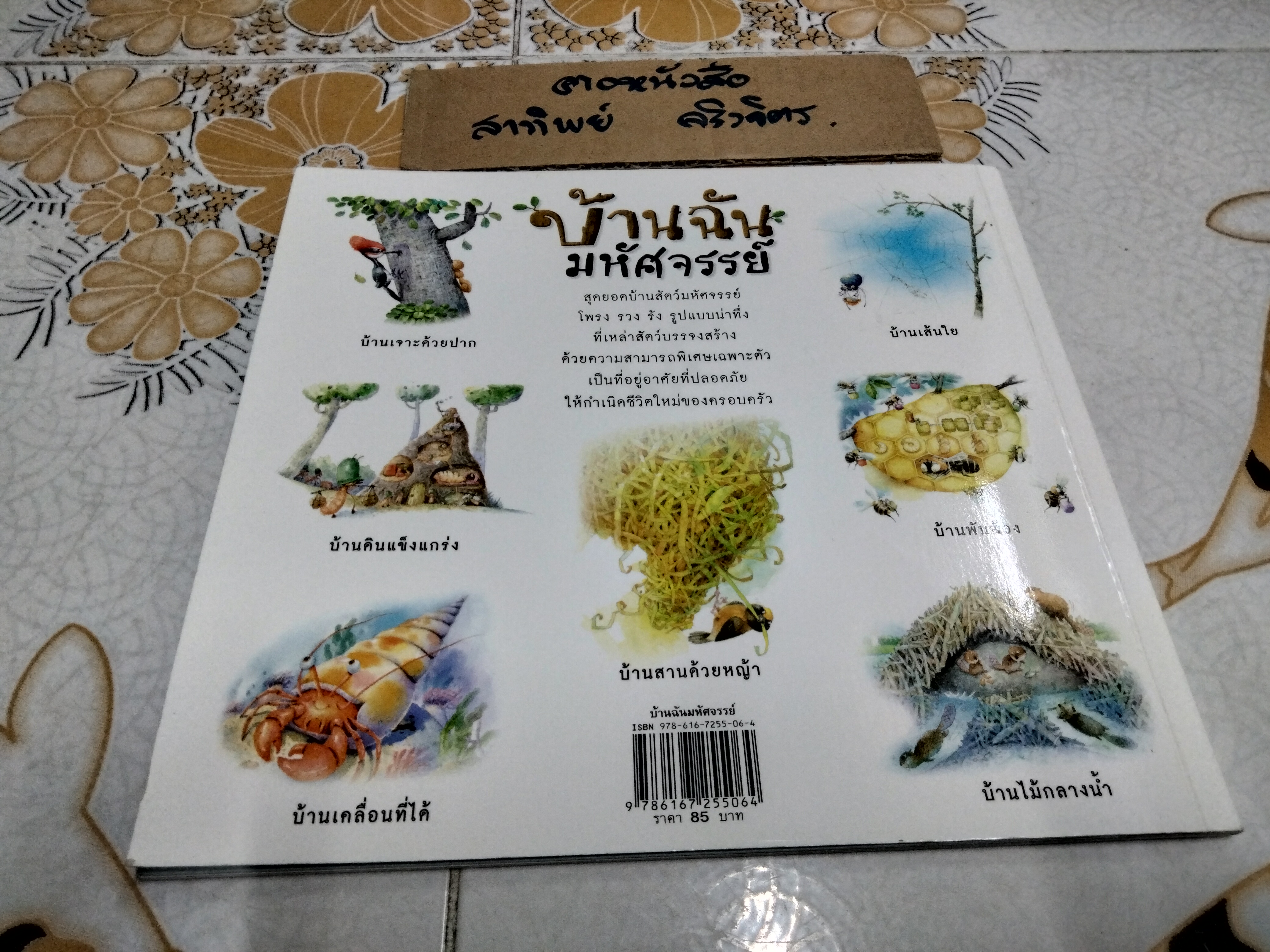 บ้านฉันมหัศจรรย์ (ชุดวิทยาศาสตร์รุ่นเยาว์-แปลกแต่จริง)