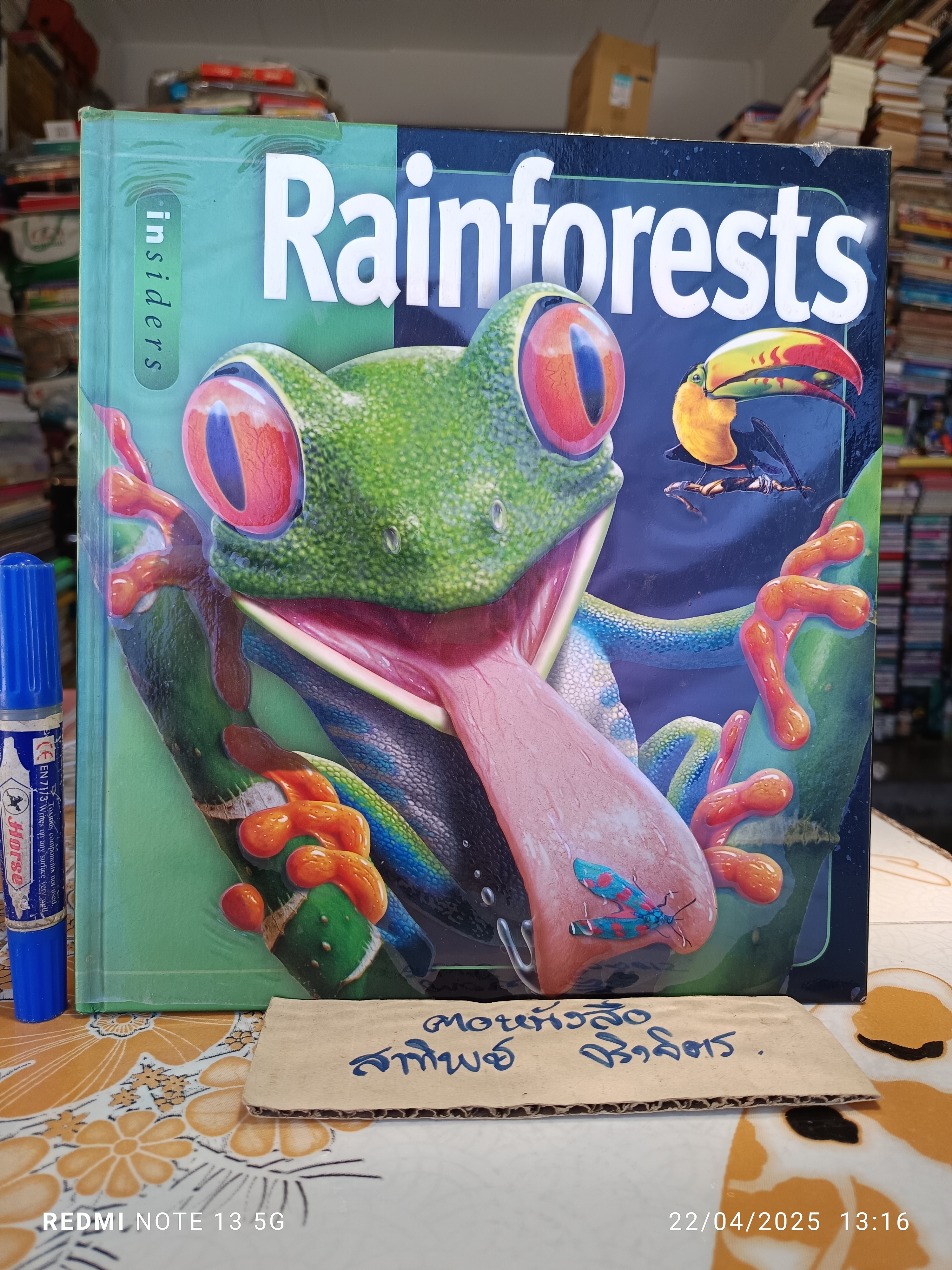 Rainforest , A Templar book , first printed 2008 ฉบับภาษาอังกฤษ