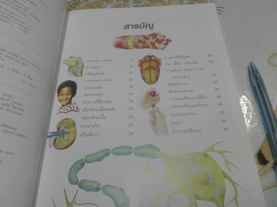 หนังสือชุด 100 เรื่องน่ารู้เกี่ยวกับ ร่างกายของเรา (ลำดับที่ 4)**สินค้าหมด**