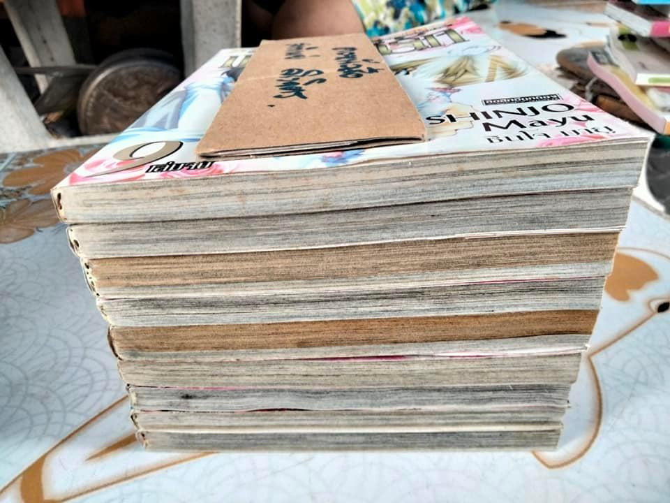 มาเฟียที่รัก 9 เล่มจบ โดย Shinjo Mayu (สภาพพอใช้ มีคราบน้ำ ปกติด)