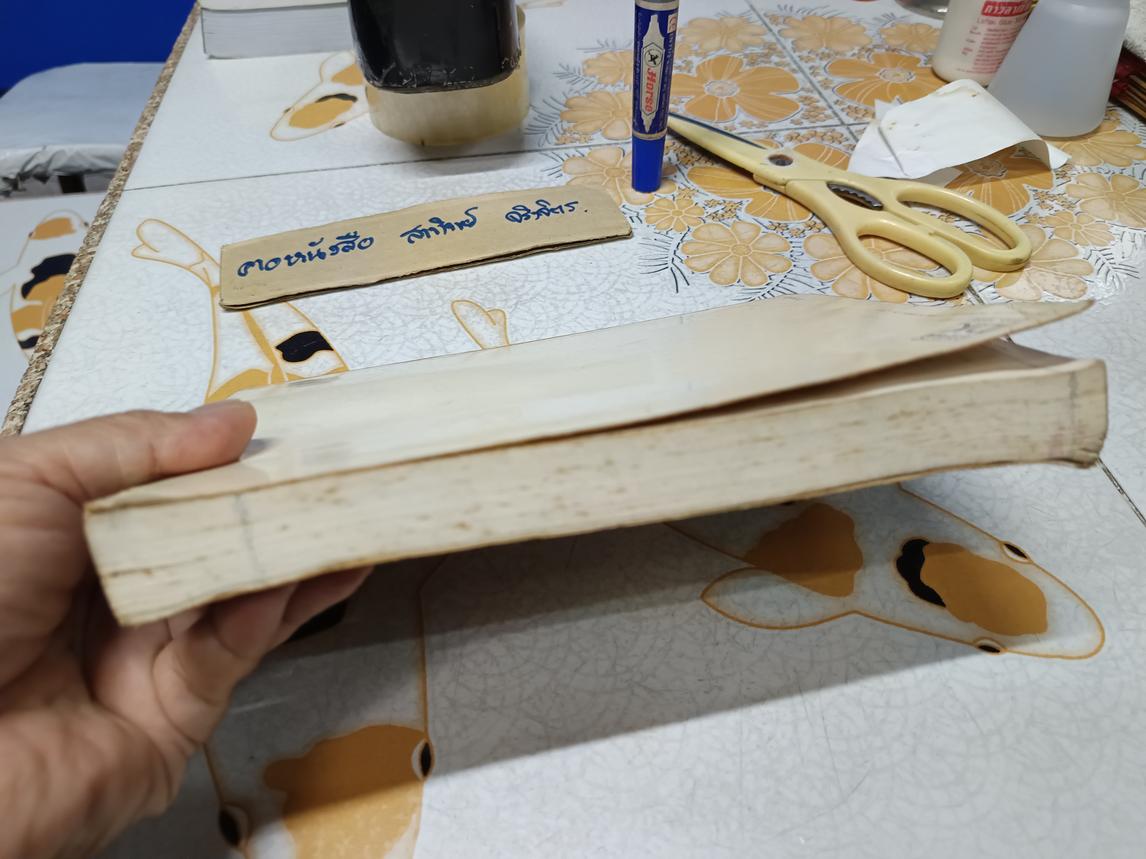 LA FRANCE EN DIRECT 1 EDITION POUR LA THAILANDE