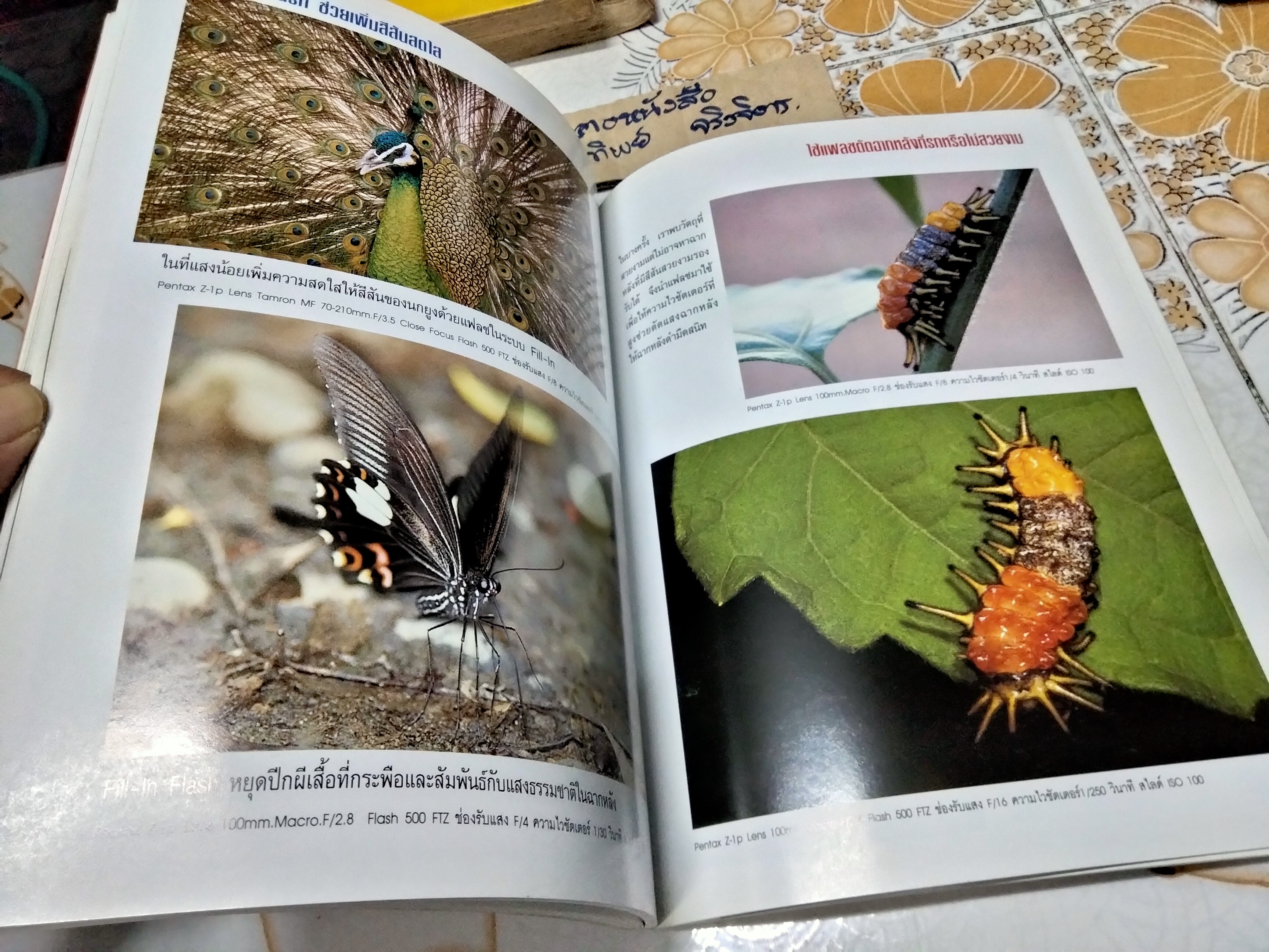 วิชาการ เทคนิค และเคล็ดลับ การถ่ายภาพมาโครฉบับสมบูรณ์ โดย สุรเดช วงศ์สินหลั่ง
