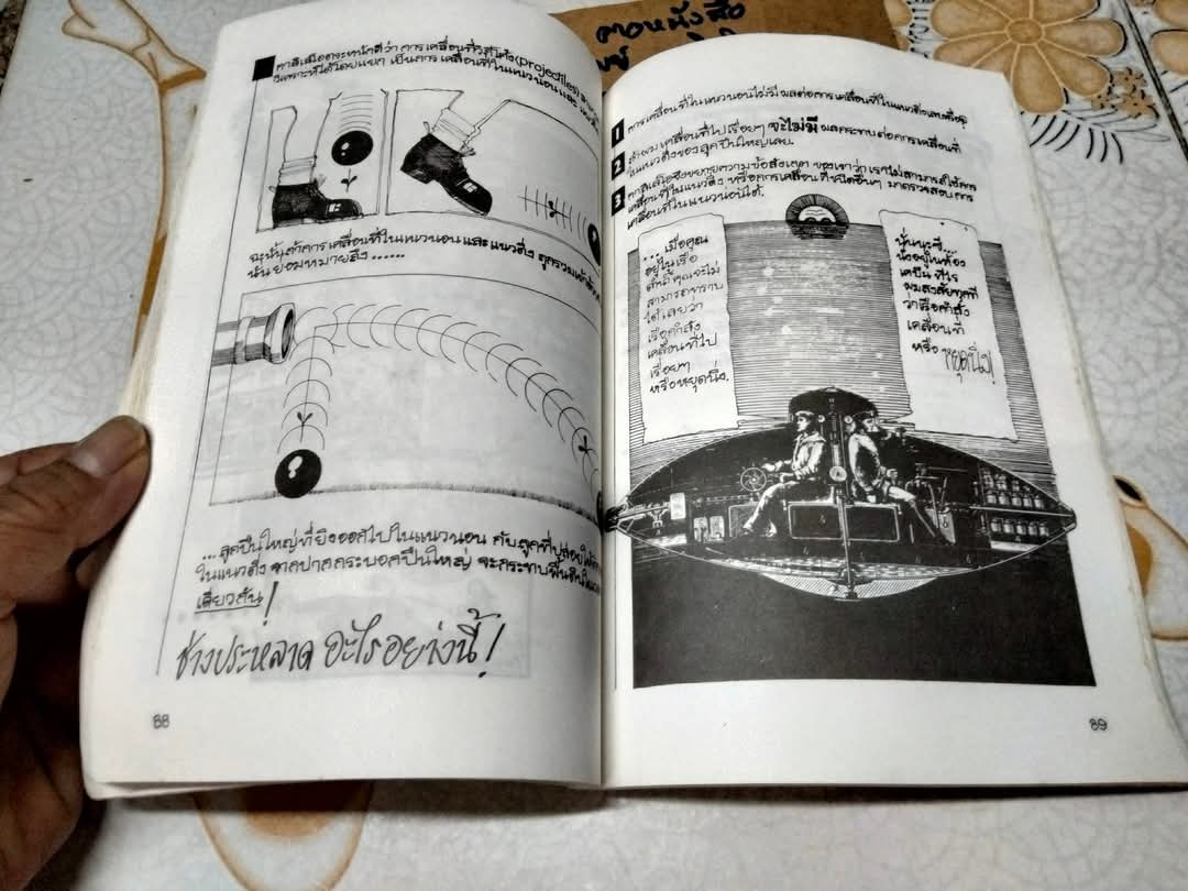 ไอน์สไตน์ฉบับการ์ตูน (Einstein For Beginners) ผลงานของ โจเซฟ ชวร์าซ วาดภาพโดย ไมเคิล แมคกินเนส