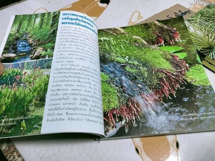 ไม้ทนน้ำ - คู่มือคนรักต้นไม้ชุดที่ 6 โดย อุไร จิรมงคลการ