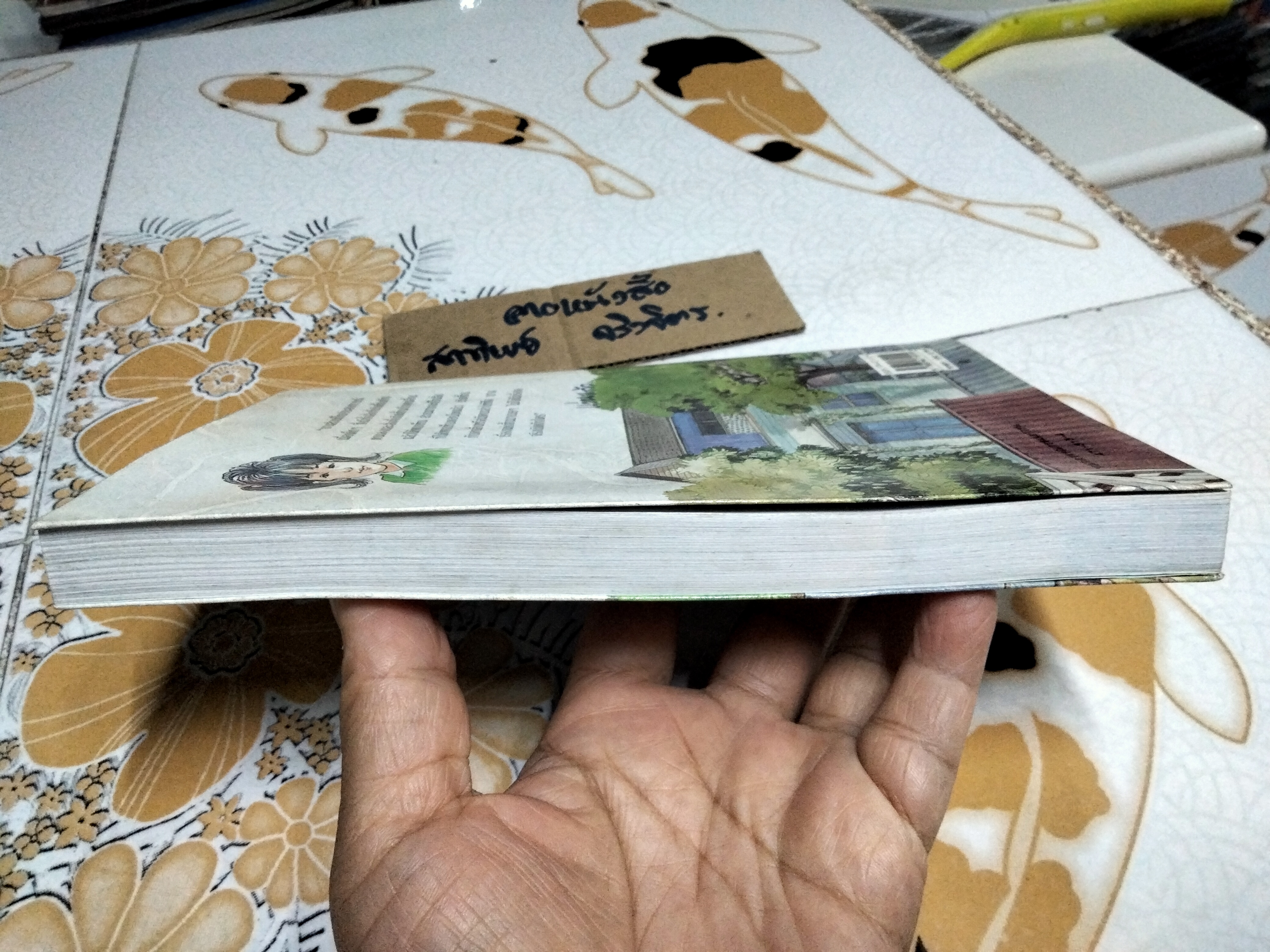 แก้วจอมซน โดย แว่นแก้ว (พิมพ์ครั้งที่ 13/2544)