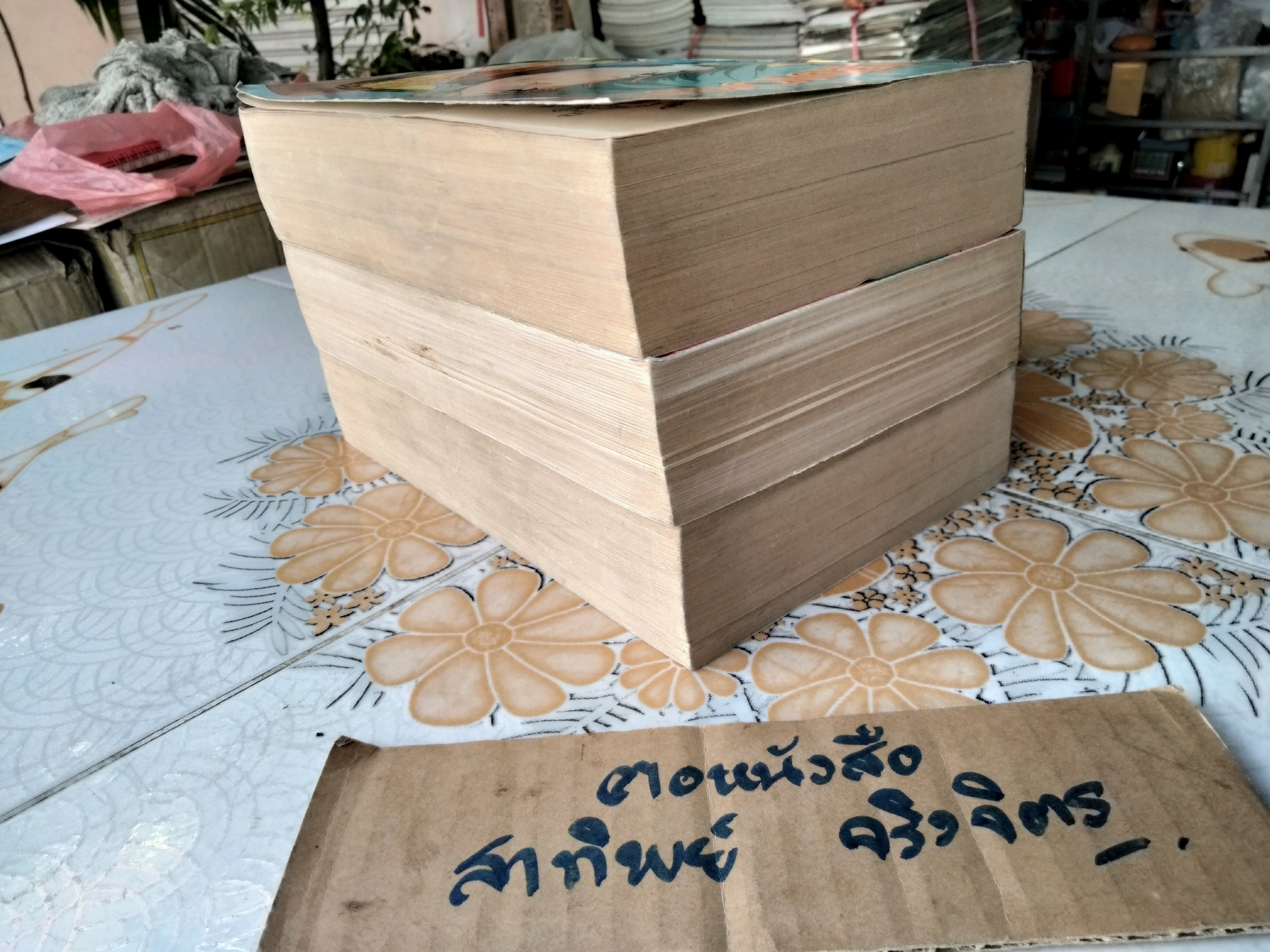 หนังสือการ์ตูน วีดีโอเกิร์ล Video Girl (3 เล่มจบ) สำนักพิมพ์บ้านสีแสด