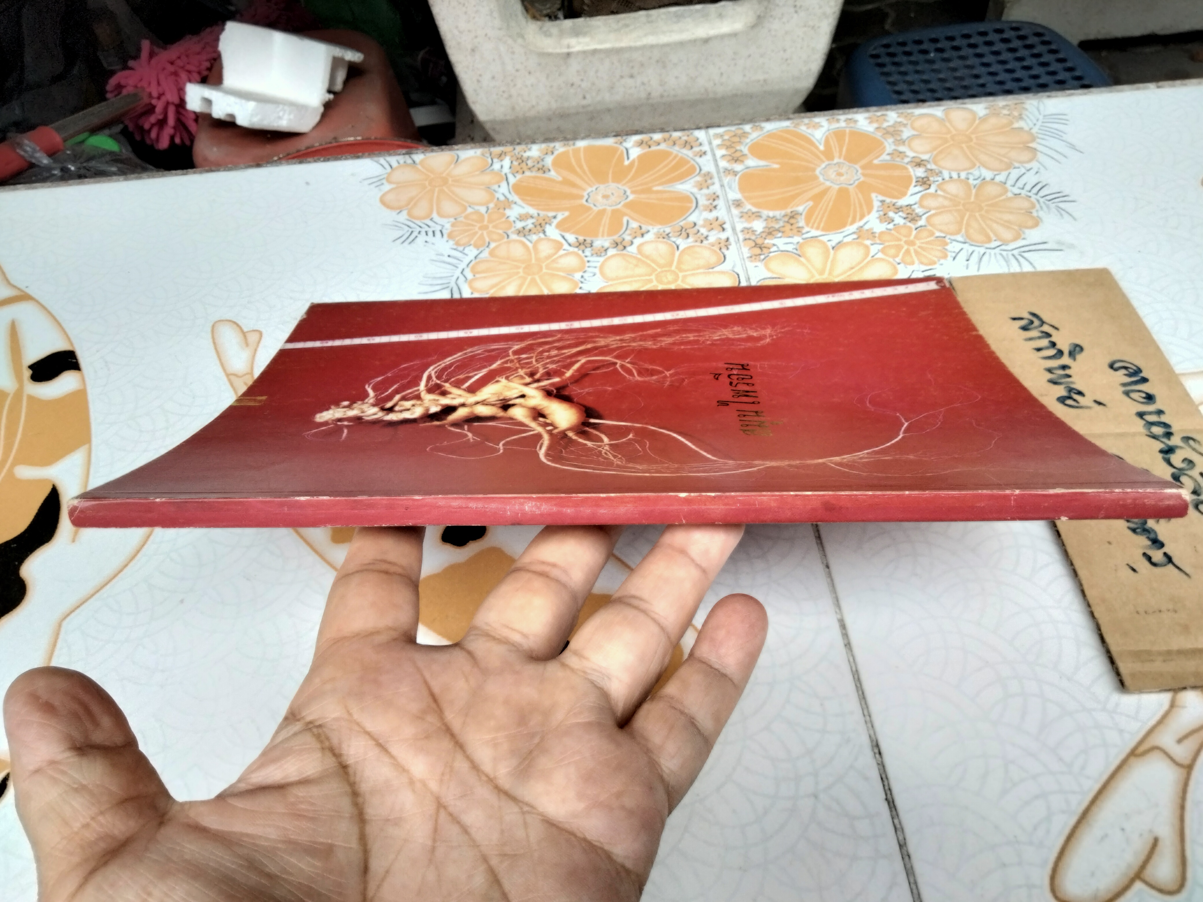 สมุนไพรจีน - รวบรวมเรียบเรียงและจัดพิมพ์ โดย นายเจนกิจ เวชพงศา **สินค้าหมด**