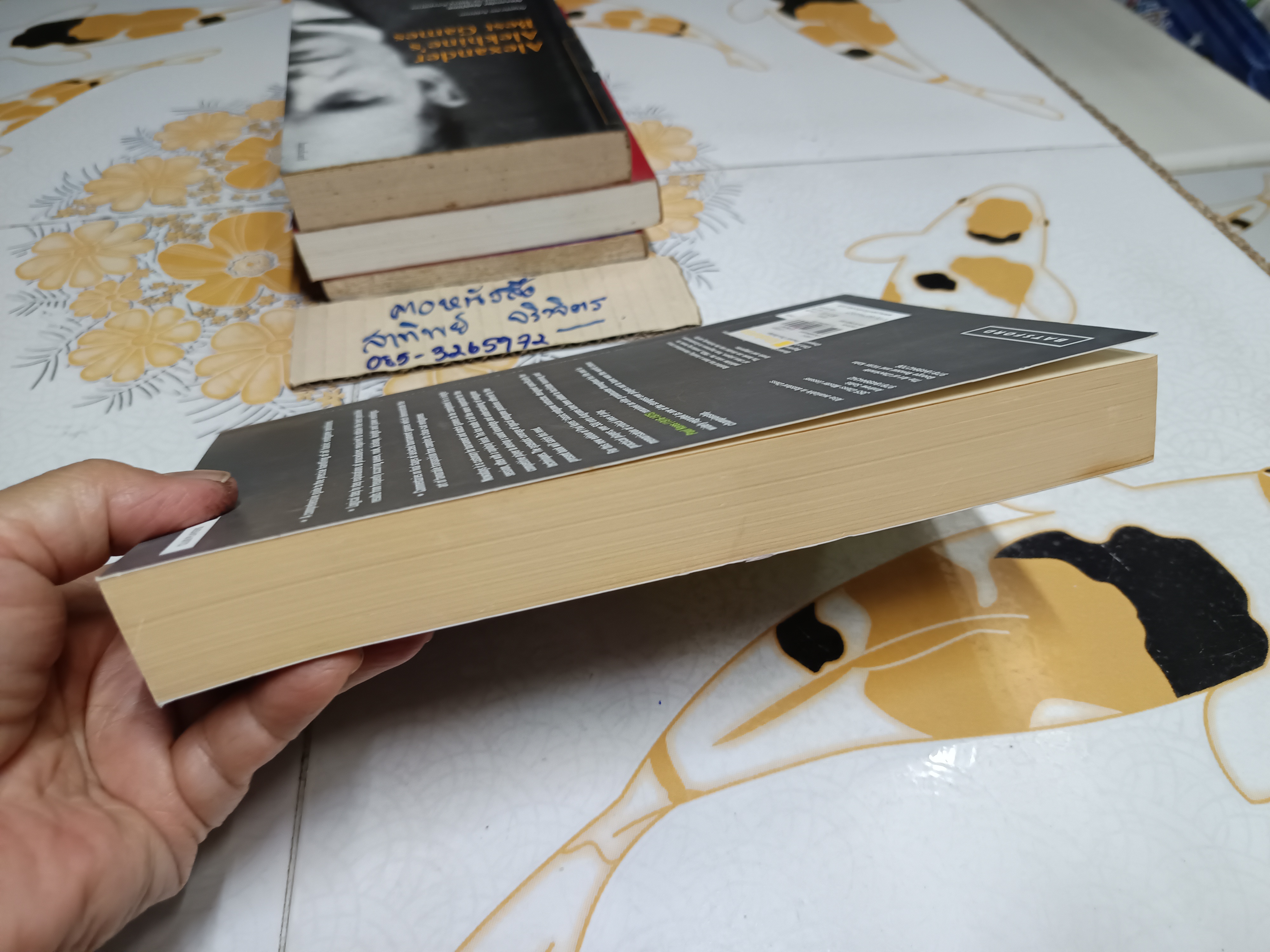 Practical Chess Endings With Modern Chess Notation by Paul Keres **สินค้าหมด**