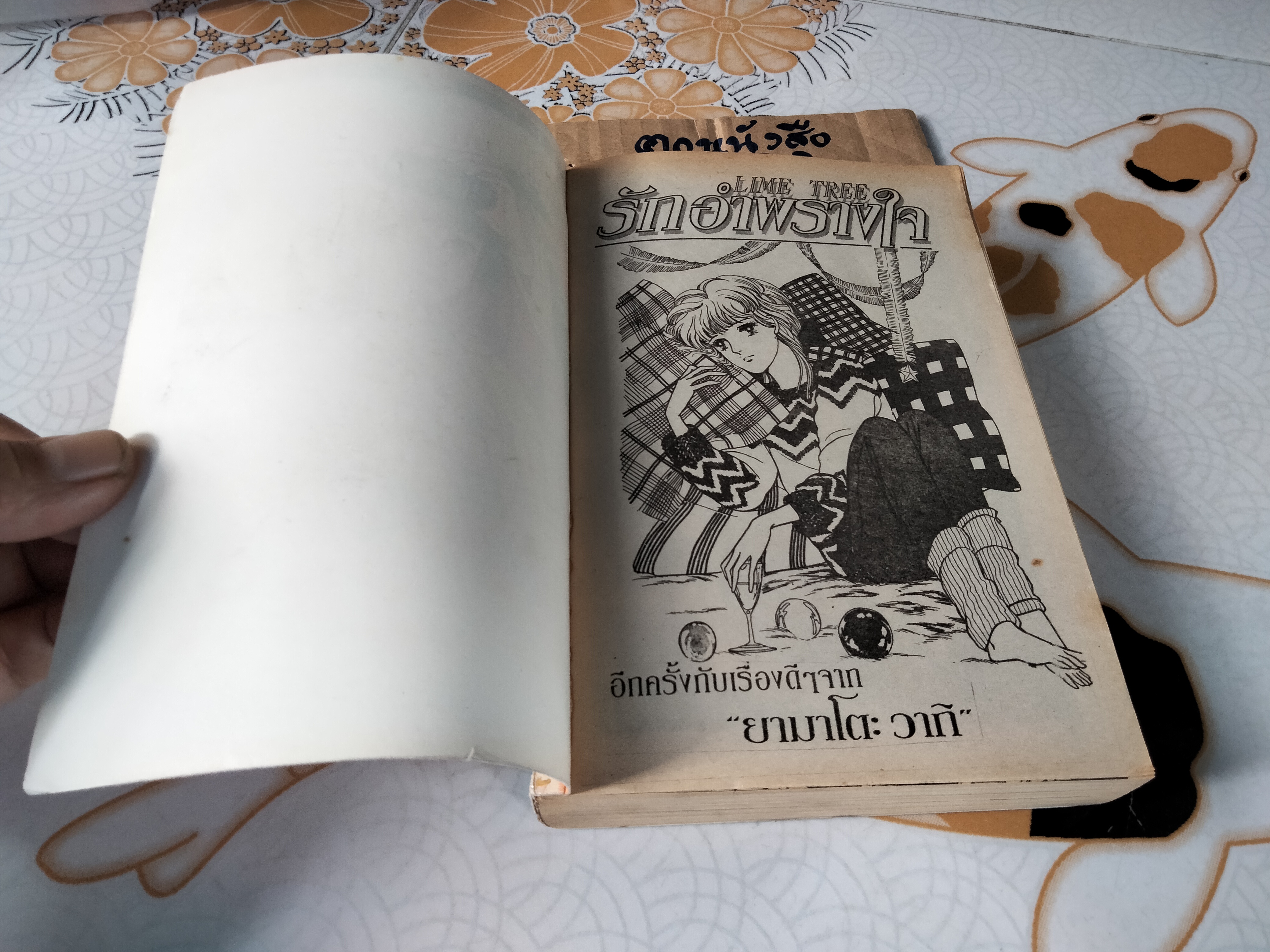 รักอำพรางใจ ( Lime Tree) เล่มเดียวจบ - ยามาโตะ วากิ **สินค้าหมด**