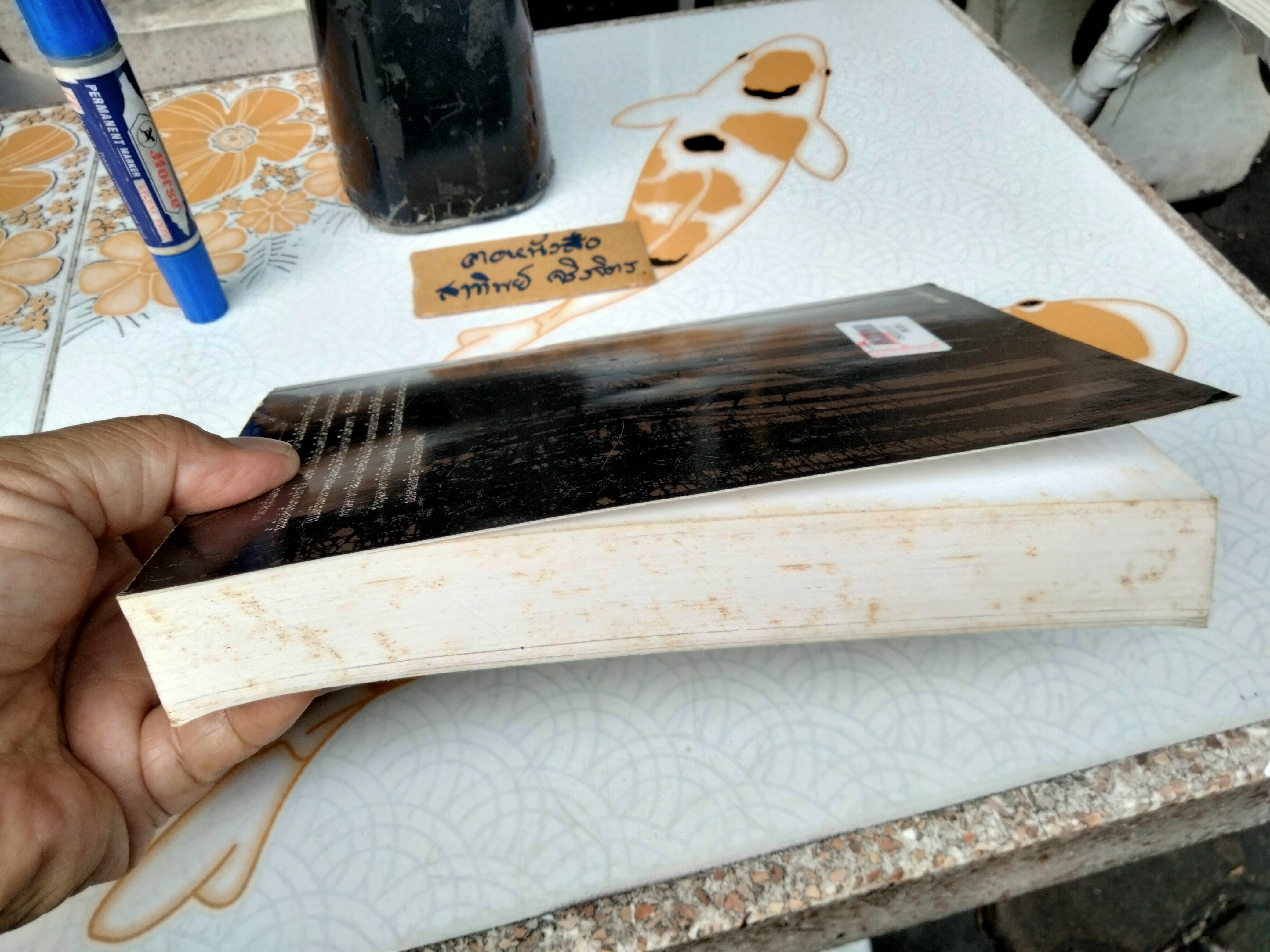 วอลเดน Walden (ปกอ่อน) Henry David Thoreau (เฮนรี่ เดวิด ธอโร) เขียน สุริยฉัตร ชัยมงคล แปล **สินค้าหมด**