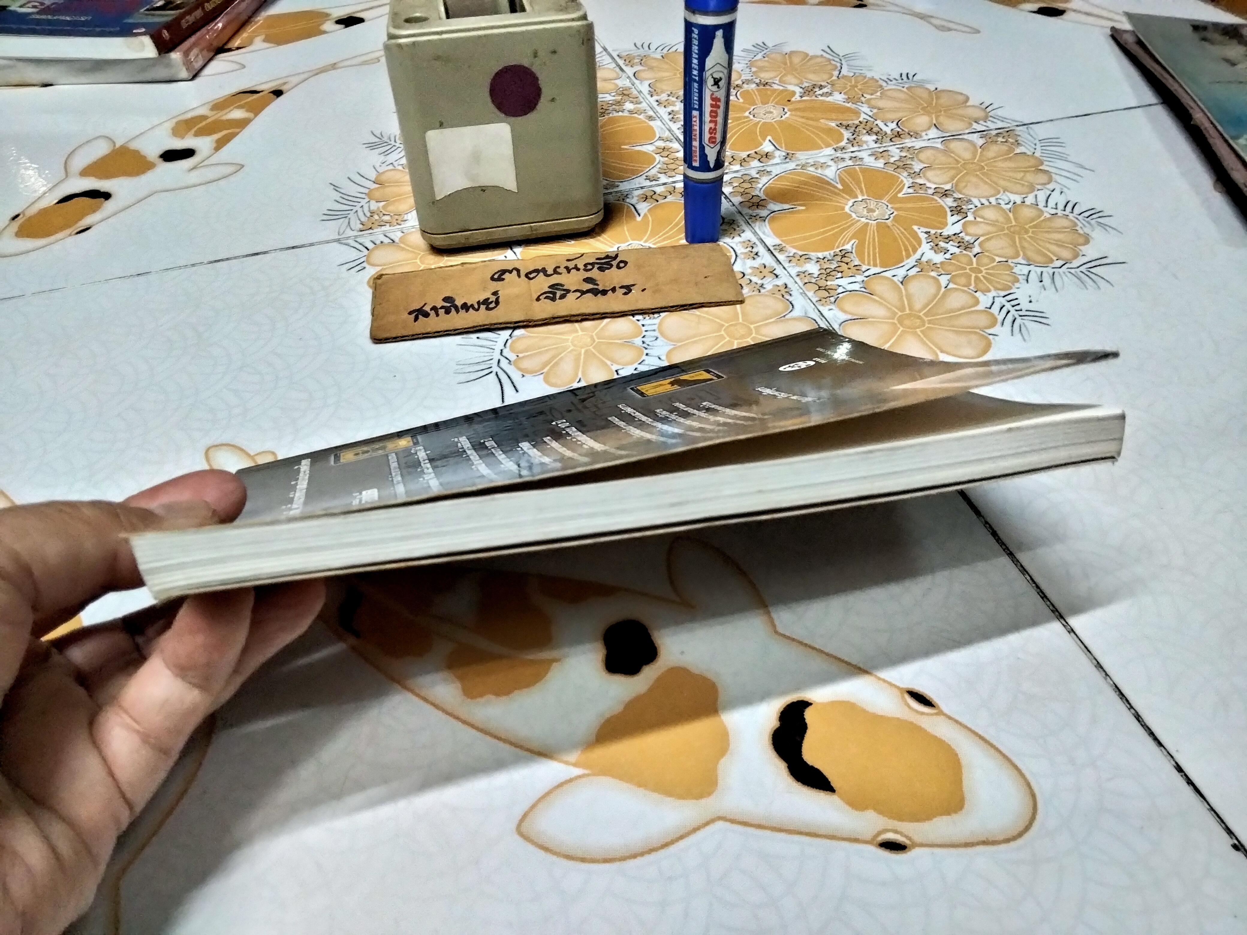 ไพ่ทาโรต์อียิปต์ (มีเฉพาะหนังสือ) โดย อ.ธีรภาพ ธีระศรีศุภร พิมพ์ครั้งแรก พ.ศ.2550 **สินค้าหมด**