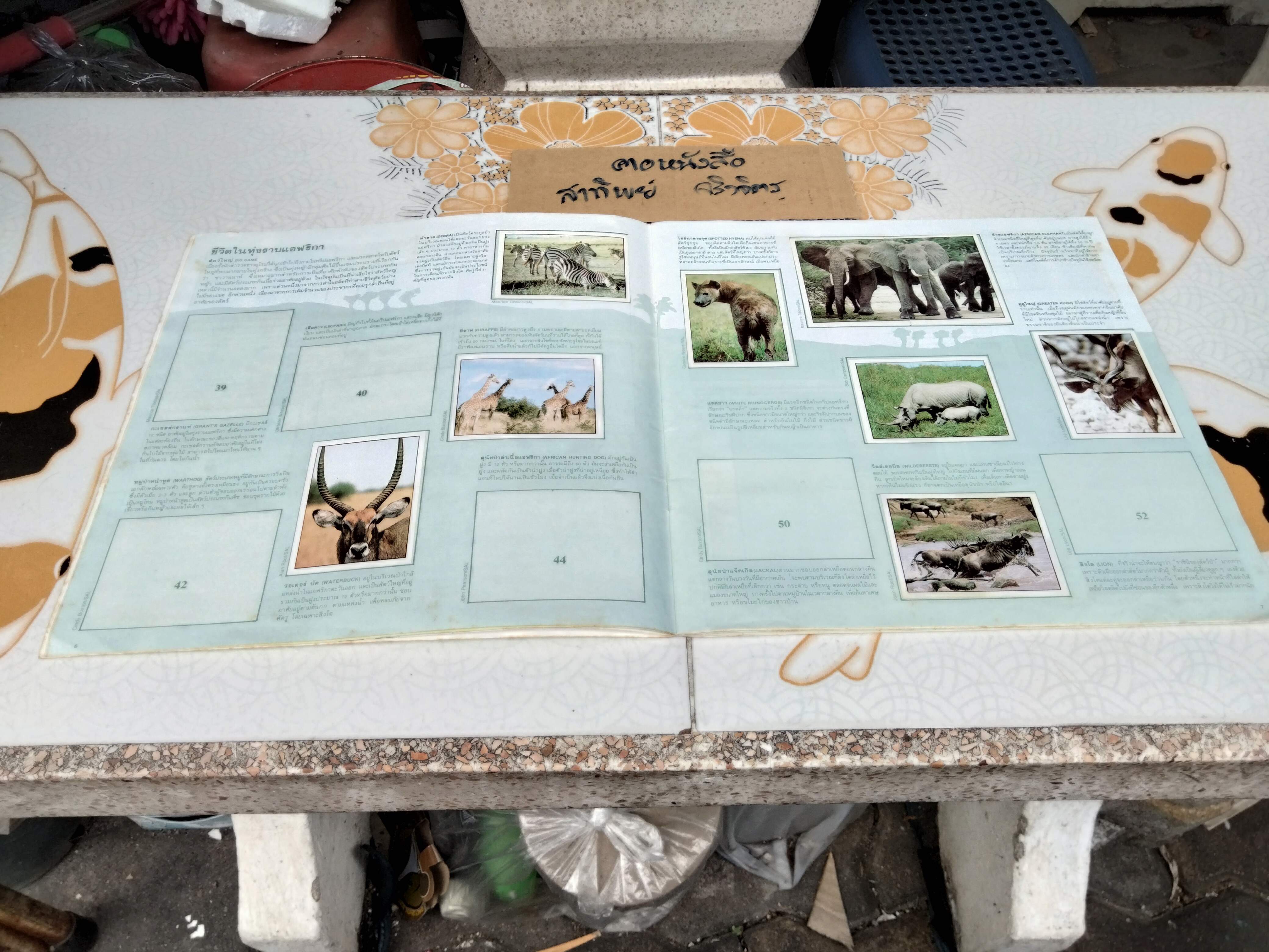 สมุดสะสมสติกเกอร์ ชีวิตสัตว์โลก (แปะสติกเกอร์ 178 รูป จากทั้งหมด 240 รูป) **สินค้าหมด**