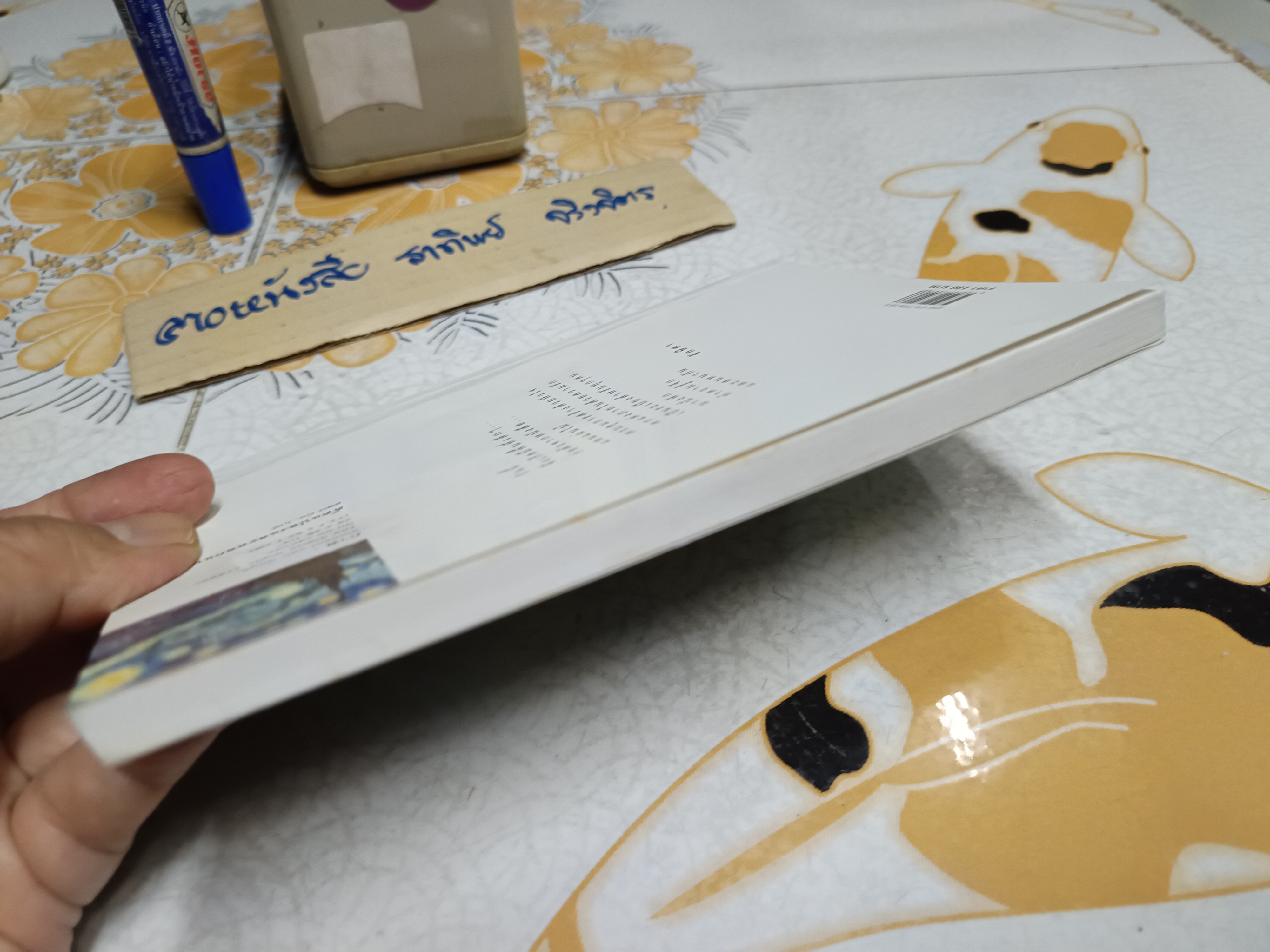 ระเบียงดาว โดย รักษิตา (ปกิณกคดี) **สินค้าหมด**