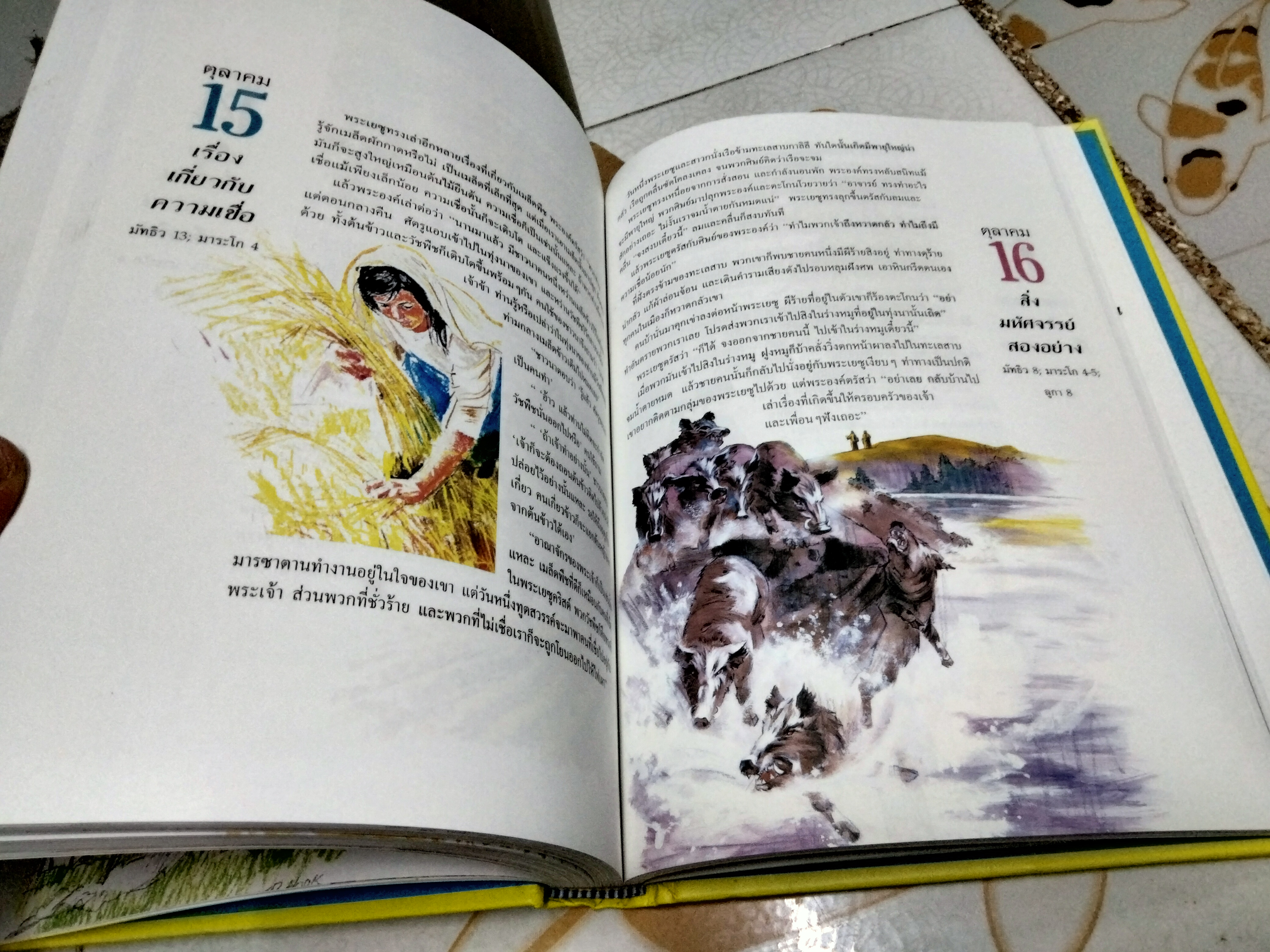 เรื่องเล่า 365 วัน (ปกแข็ง) Virginia J. Muir (เวอร์จิเนีย เจ. มิวเออร์) **สินค้าหมด**