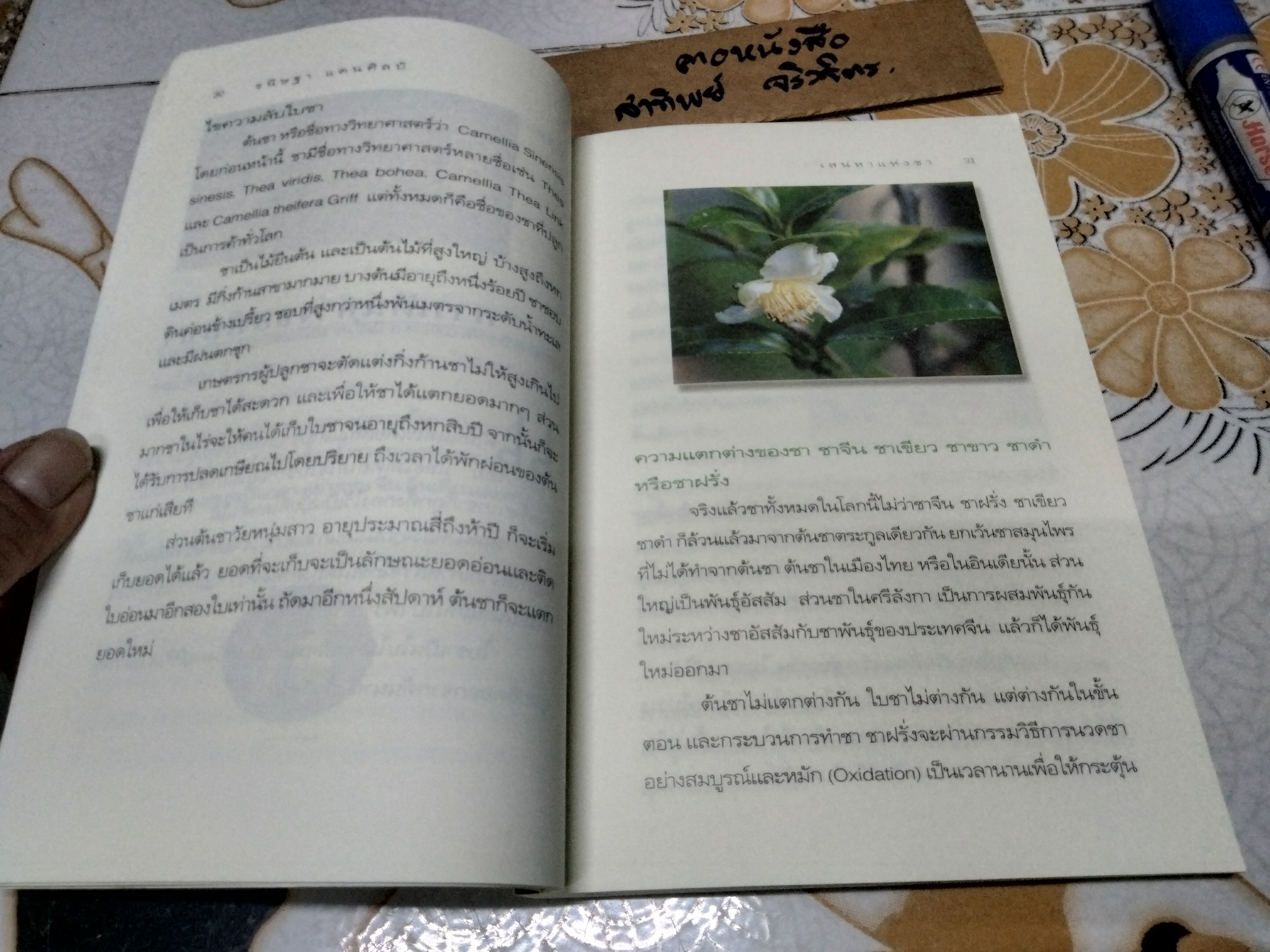 เสน่หาแห่งชา (TEA TIME) โดย ธนิษฐา แดนศิลป์ **สินค้าหมด**