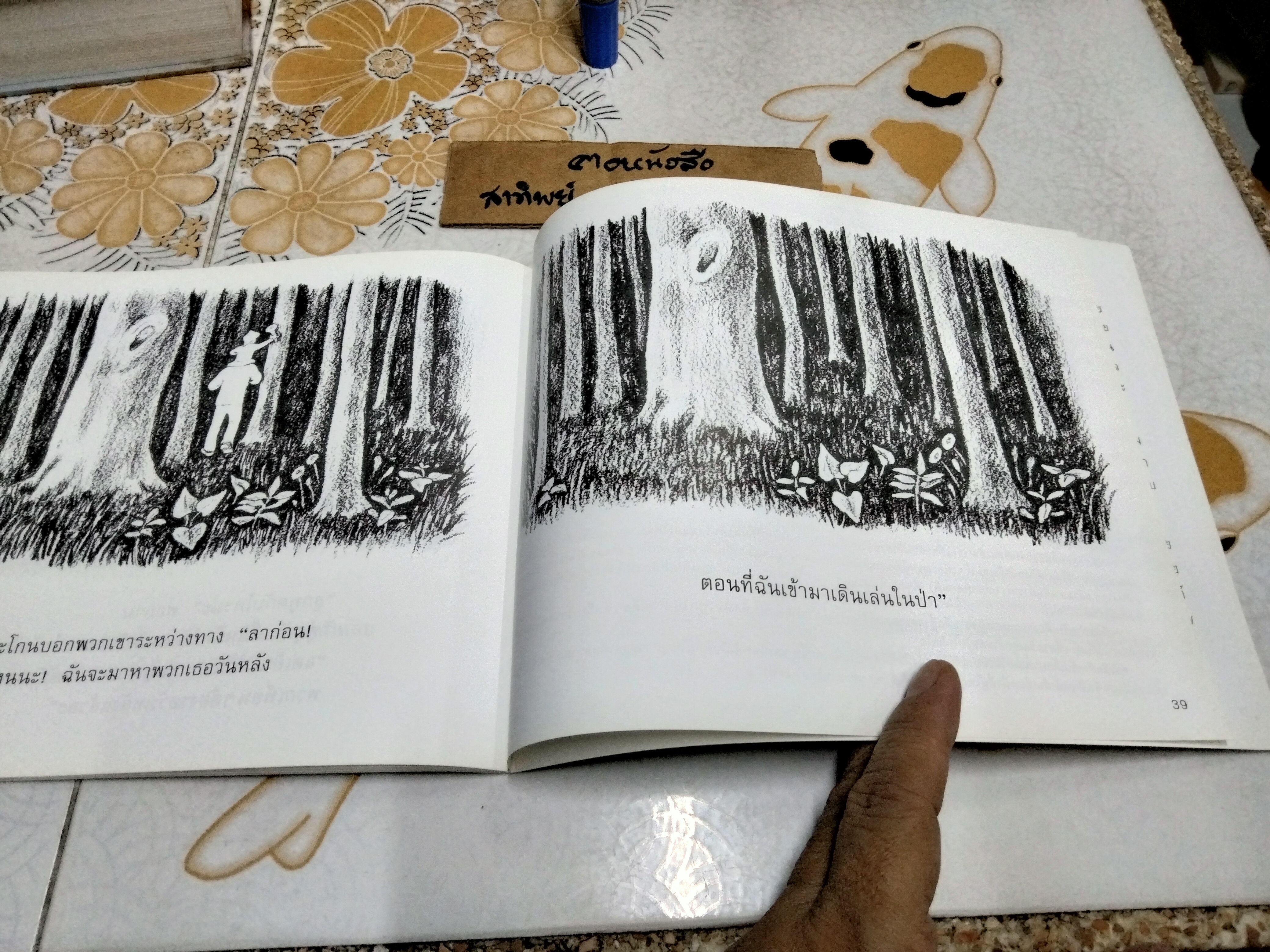 เดินเล่นในป่า In the Forest Marie Hall Ets (มารี ฮอลล์ เอทส์) เขียน อริยา ไพฑูรย์ แปล (พิมพ์ครั้งแรก 2551)