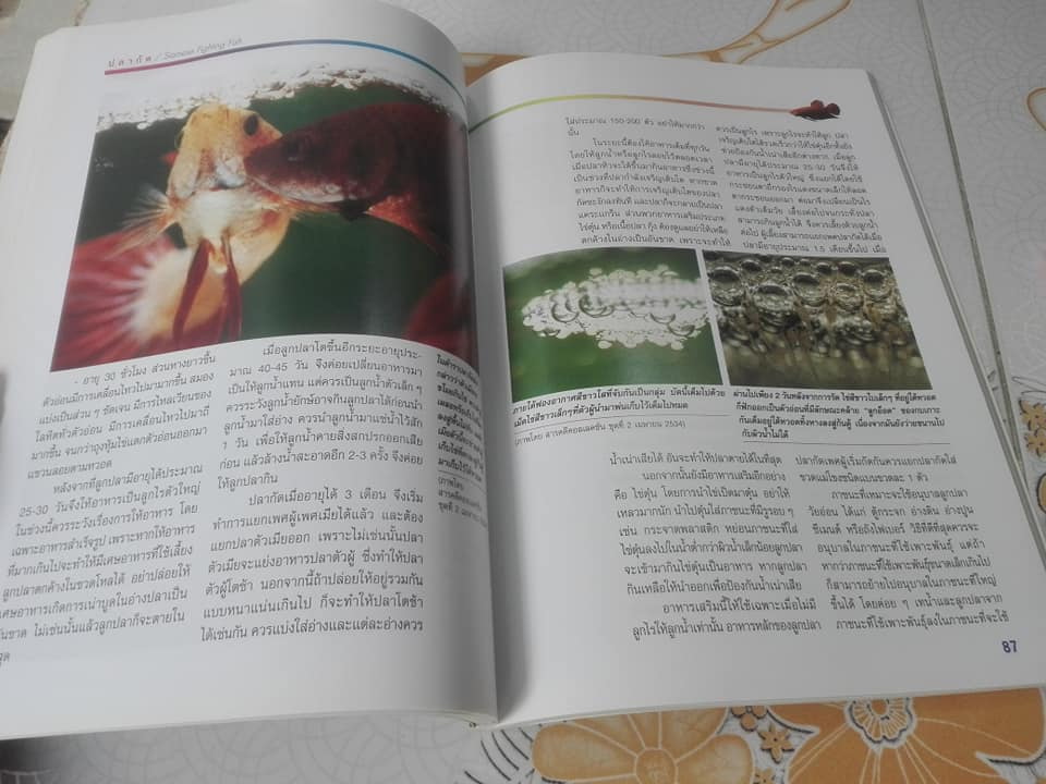 คู่มือการเพาะเลี้ยงและการคัดสายพันธุ์ ปลากัด ฉบับสมบูรณ์ เรียบเรียงโดย ธนากร ฤทธิ์ไธสง