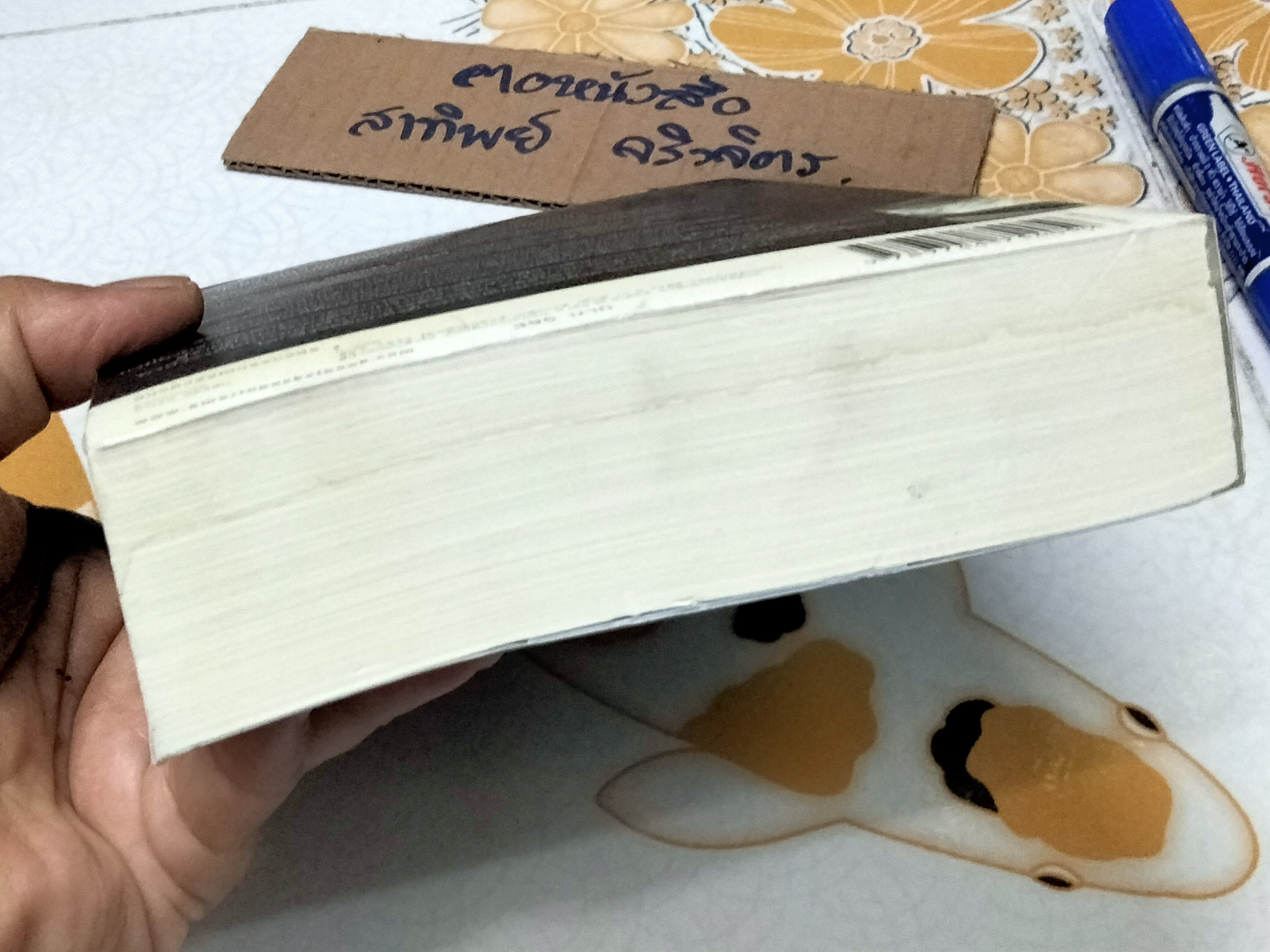 เดอะสวอนทีฟส์ ตำนานรักหลังภาพเขียน (Swan Thieves) - เอลิซาเบท คอสโตวา เขียน / ศศมาภา แปล (มีคราบน้ำ)