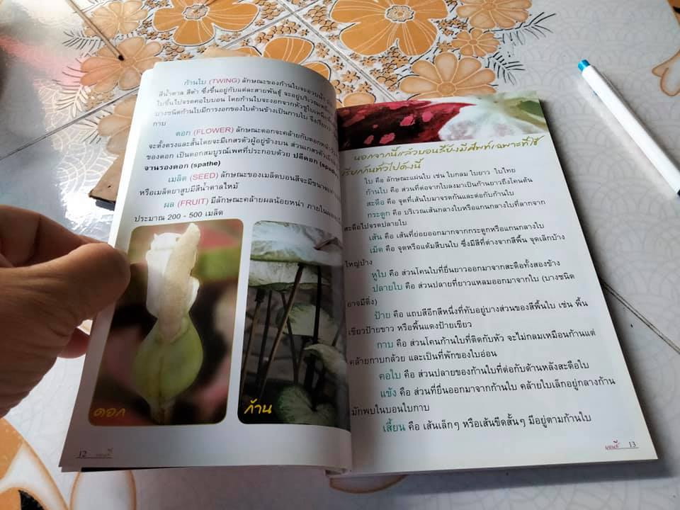 บอนสี - ร้อยพรรณพฤกษา โดย อ.เศรษฐมันตร์ กาญจนกุล พิมพ์ครั้งแรก พ.ศ.2550 **สินค้าหมด**