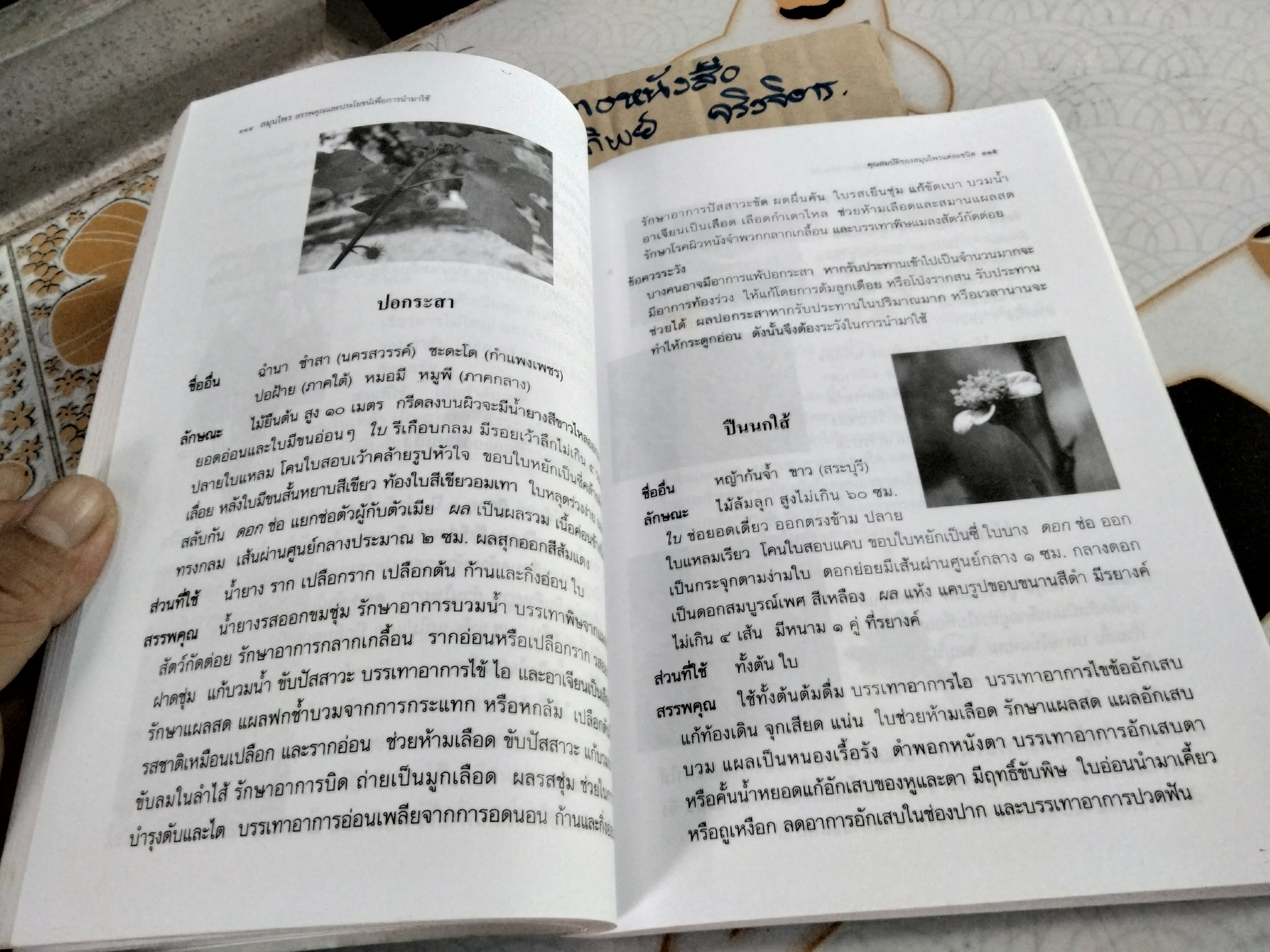 สมุนไพร สรรพคุณและประโยชน์เพื่อการนำไปใช้ โดย พ.ญ.พิสุทธิพร ฉ่ำใจ **สินค้าหมด**