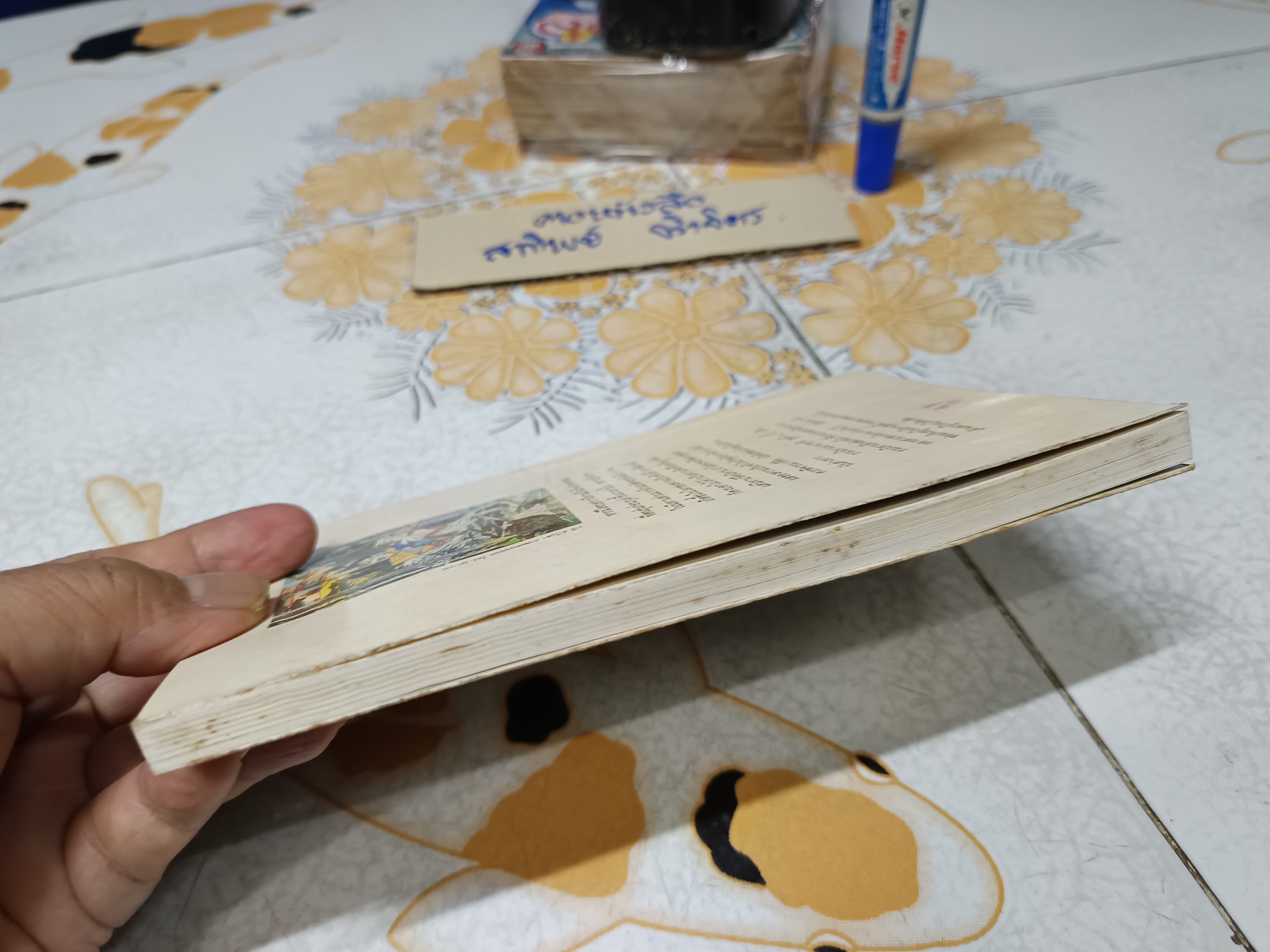 เสื้อคลุมแห่งความรัก โกศล อนุสิม แปล สำนักพิมพ์โล่หวาย / รวมเทพนิยายนานาชาติ ชุดที่ 3 **สินค้าหมด**