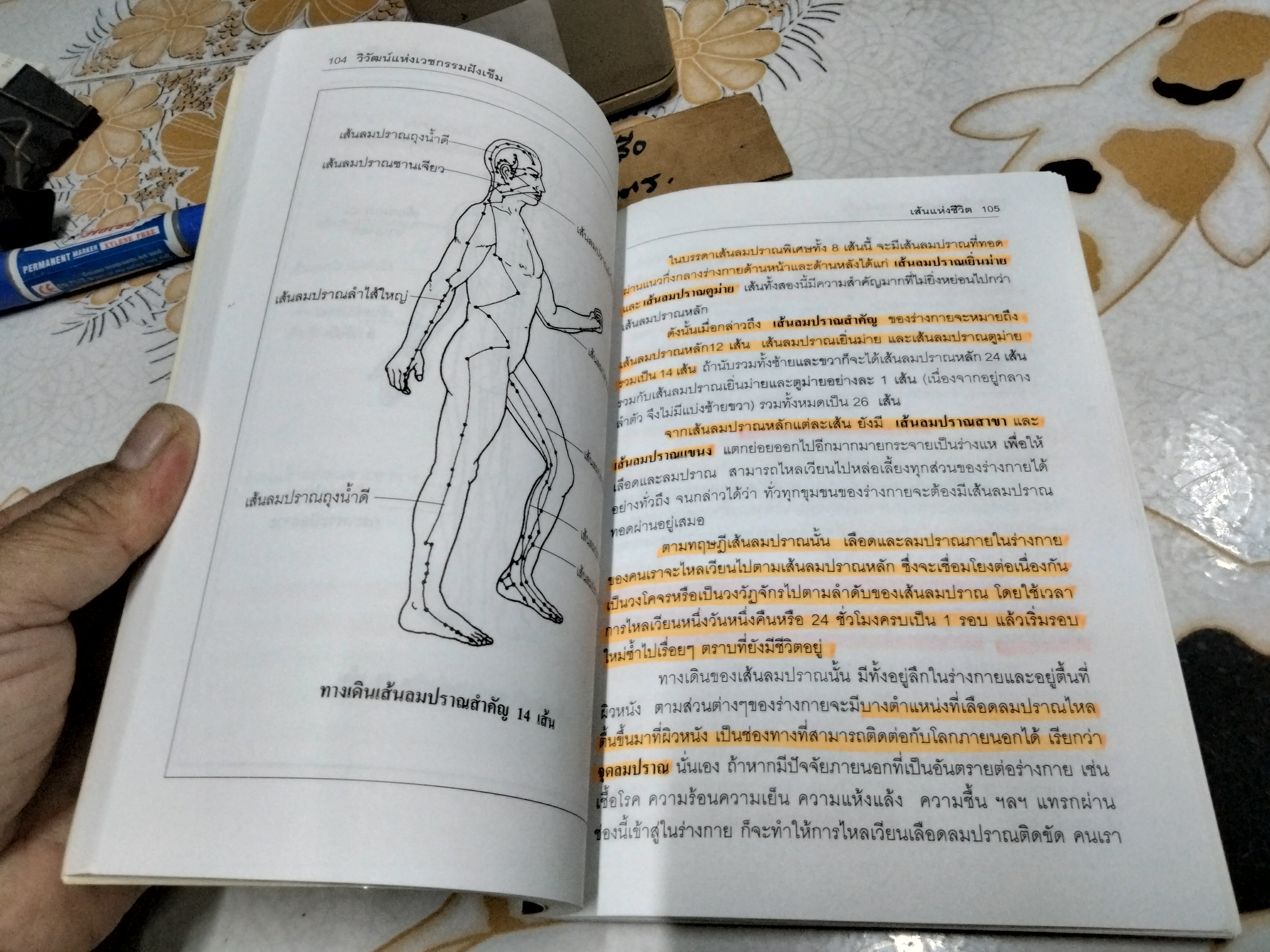 วิวัฒน์แห่งเวชกรรมฝังเข็ม / นพ.อภิชัย ชัยดรุณ พิมพ์ครั้งแรก 2543 (มีรอยปากกาเน้นข้อความเยอะมาก) **สินค้าหมด**