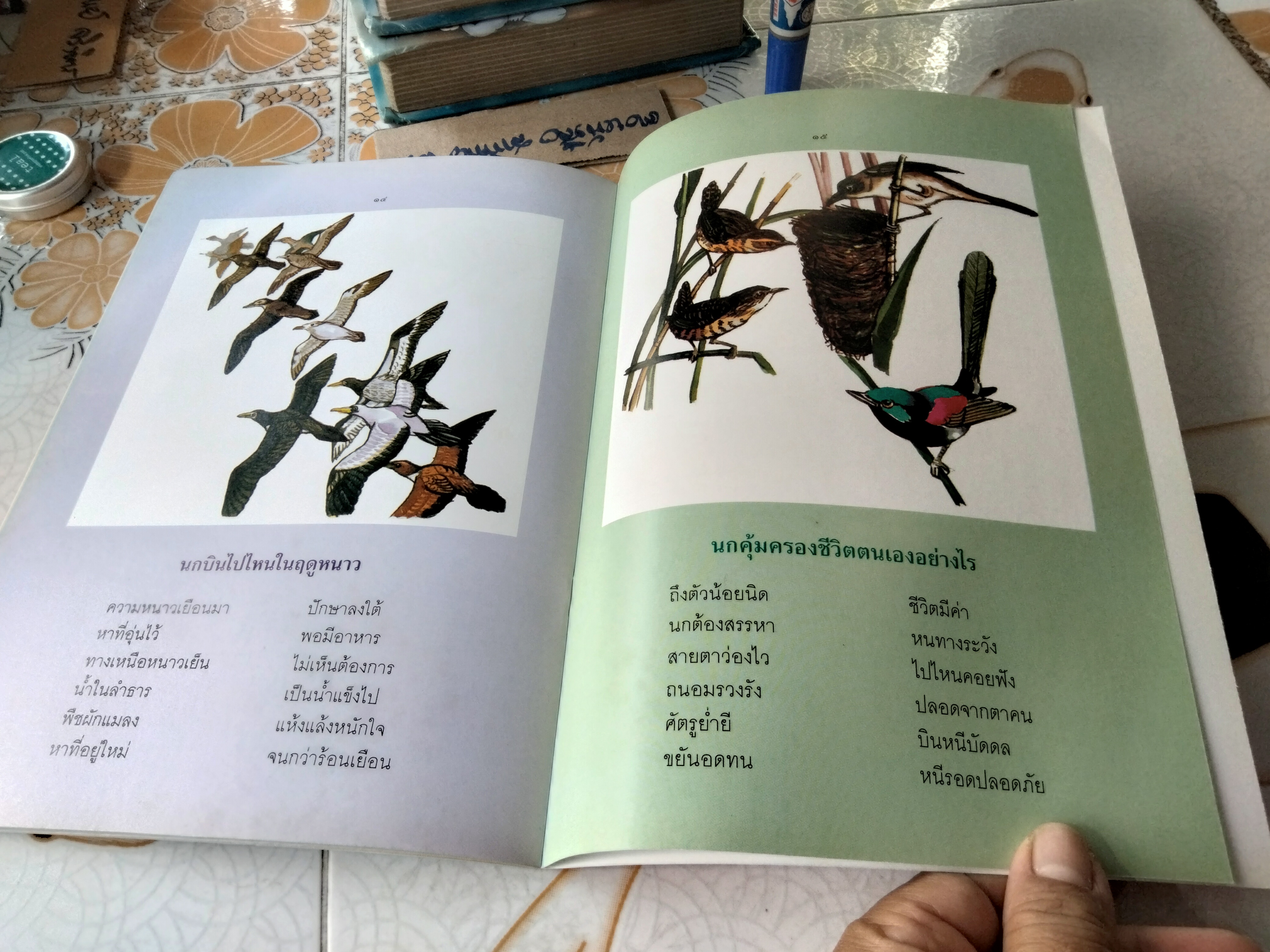 ชุดธรรมชาติน่ารู้ ปักษาน่าสนใจ อภิวรรณ วีระสมิทธ์ เรื่อง อดุลย์ กล่ำนาค ภาพ
