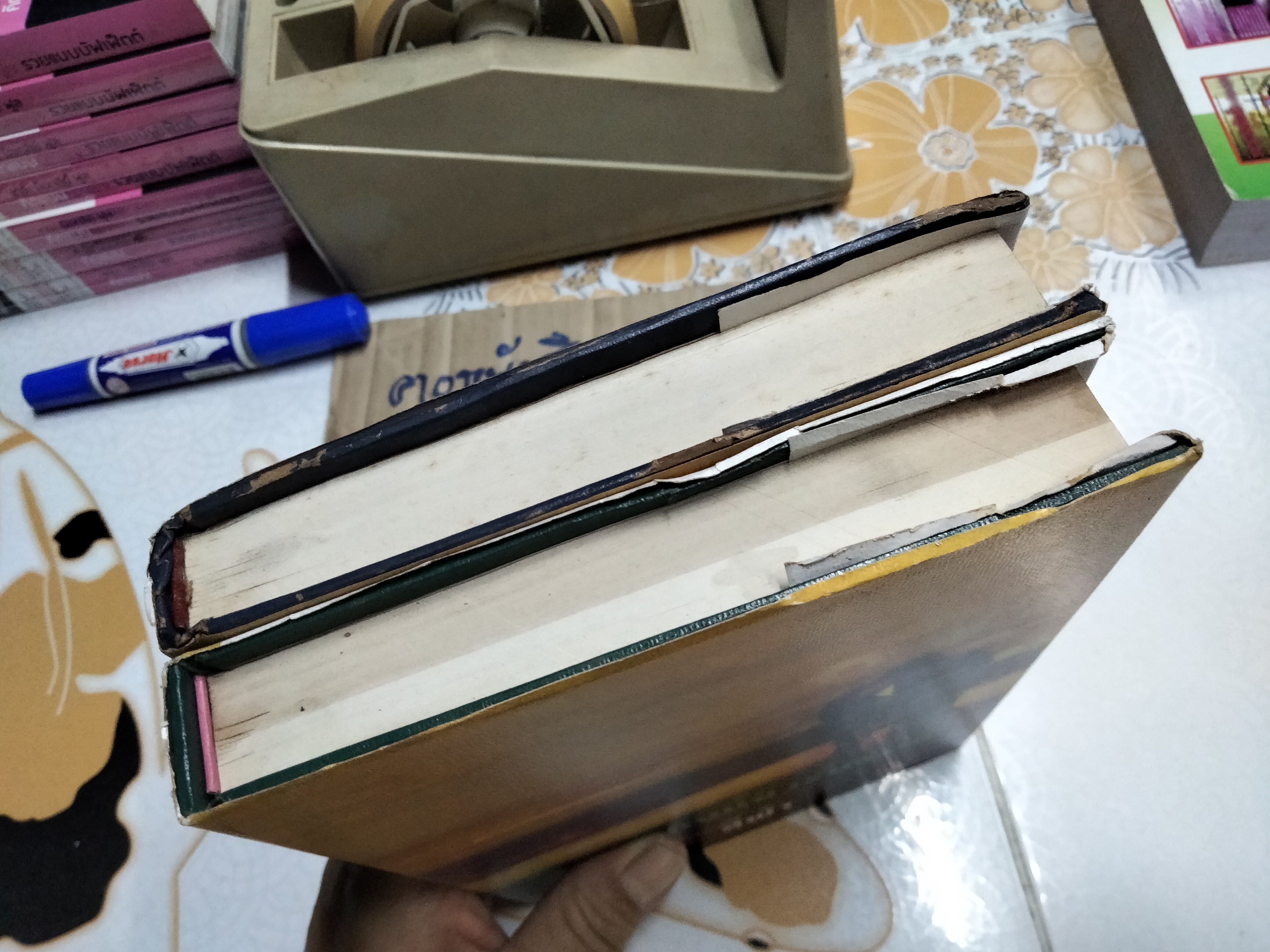 แผ่นดินนี้ยังรื่นรมย์ (2 เล่มจบ) - สีฟ้า **สินค้าหมด**