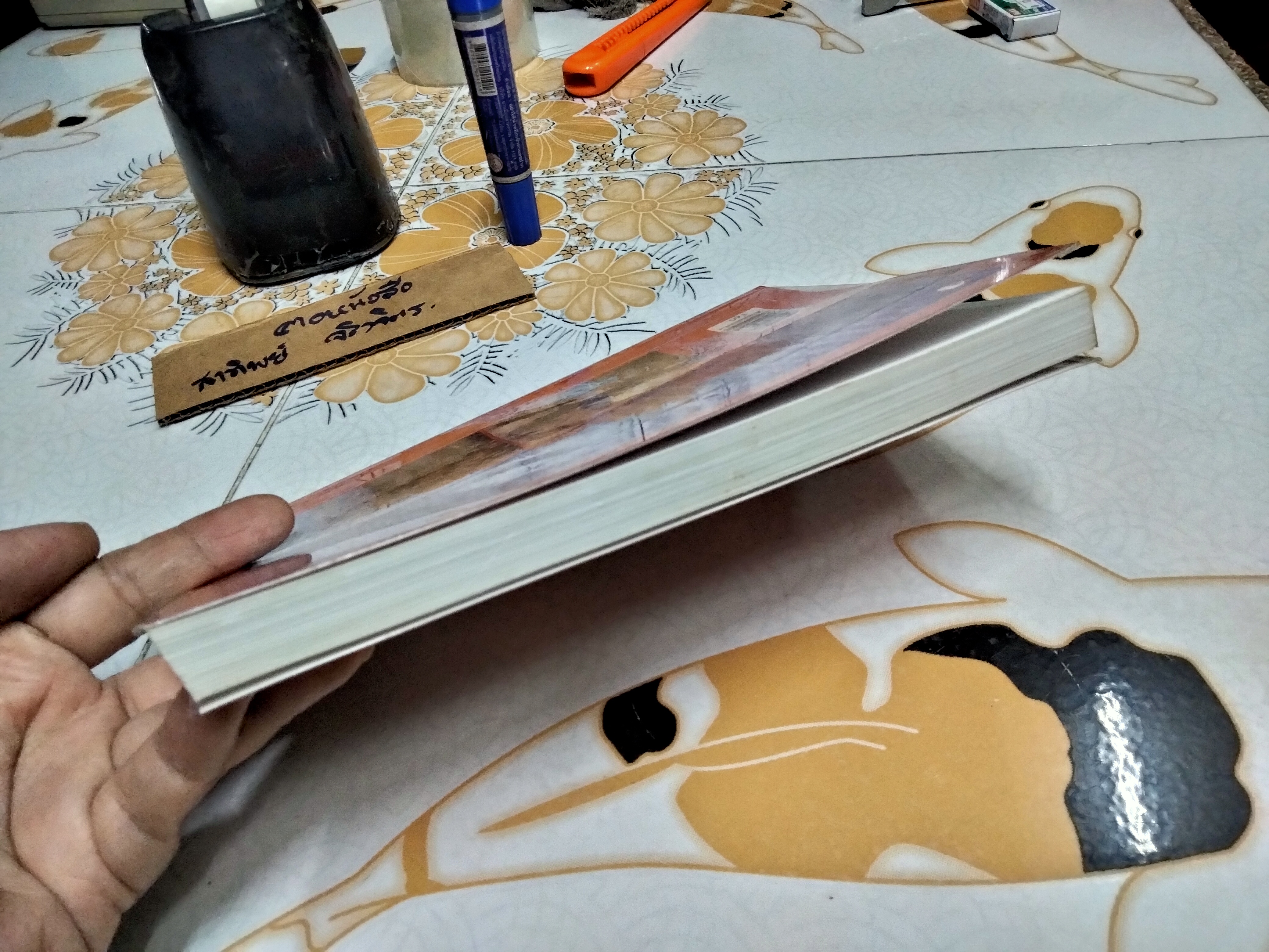 ฮินดู - พุทธ จุดยืนที่แตกต่าง โดย สุมาลี มหณรงค์ชัย พิมพ์ครั้งแรก พ.ศ.2546 **สินค้าหมด**