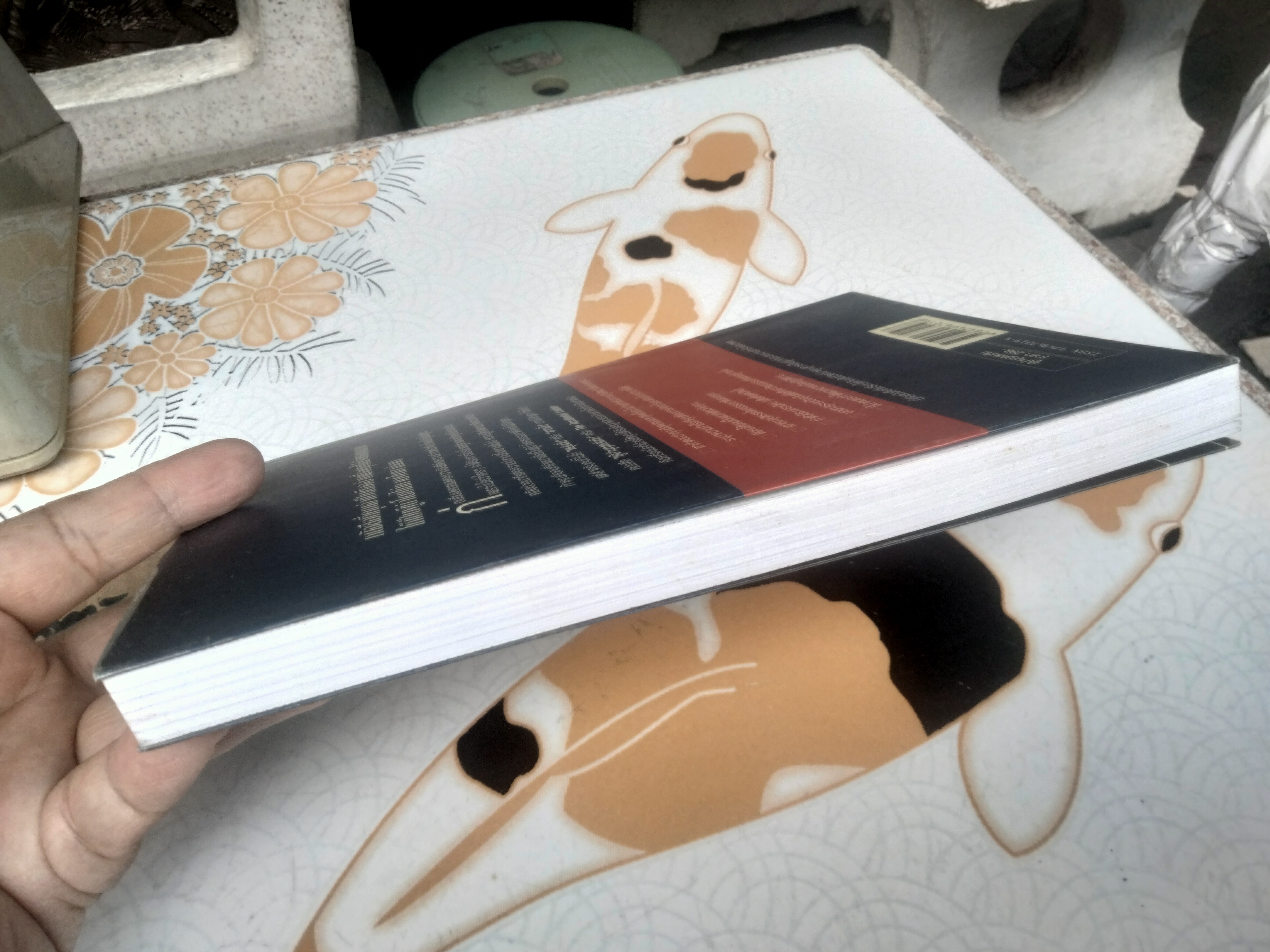 ผู้นำบุญหล่นทับ (The Accidental Leader) โดย ฮาร์วีย์ รอบบินส์ และ ไมเคิล ฟินเลย์ แปลโดย ศิระ โอภาสพงษ์
