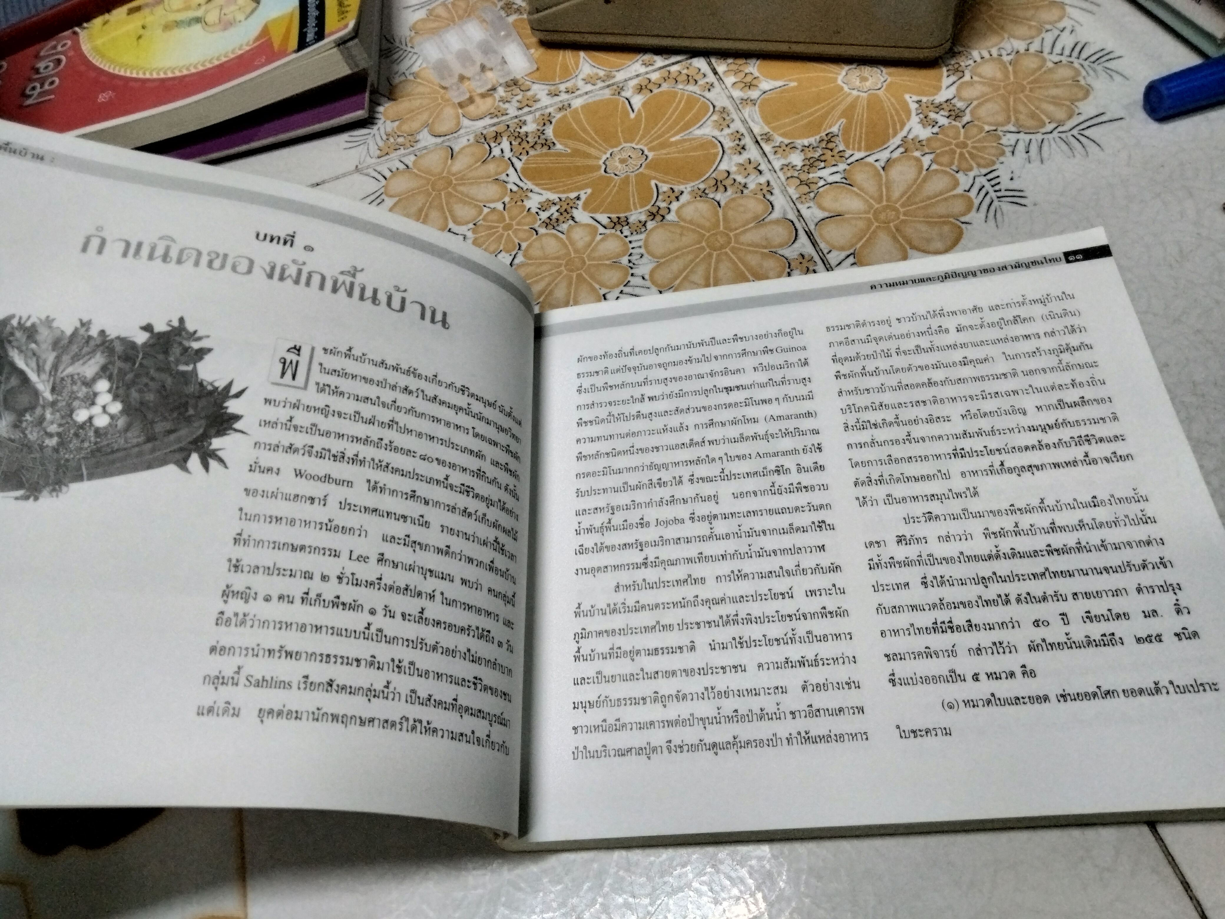 ผักพื้นบ้าน ความหมายและภูมิปัญญาของสามัญชนไทย โดย สถาบันการแพทย์แผนไทย กรมการแพทย์ กระทรวงสาธารณสุข