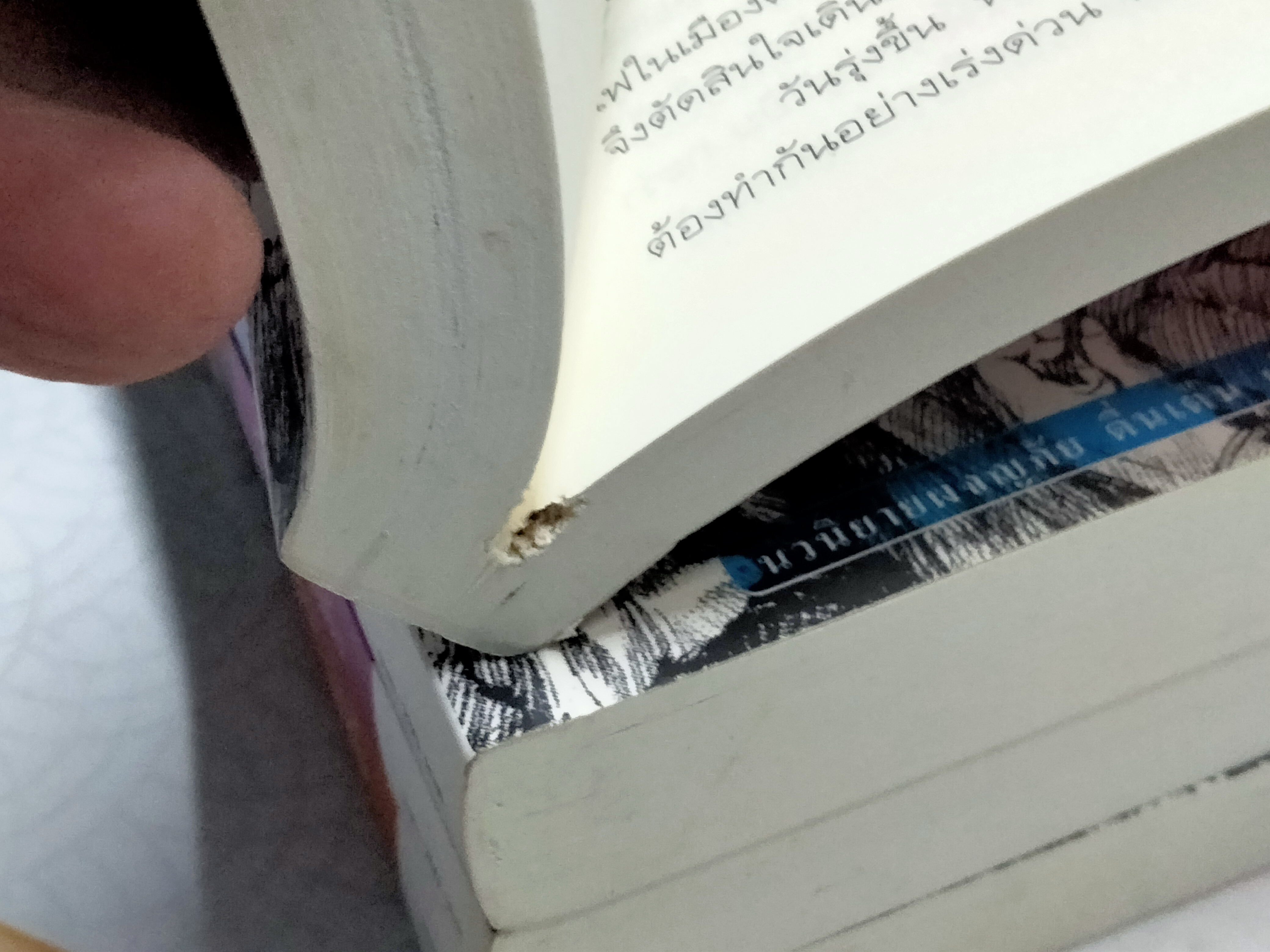 หนังสือชุดไพรมืด (4 เล่มครบชุด) - วัธนา บุญยัง **สินค้าหมด**