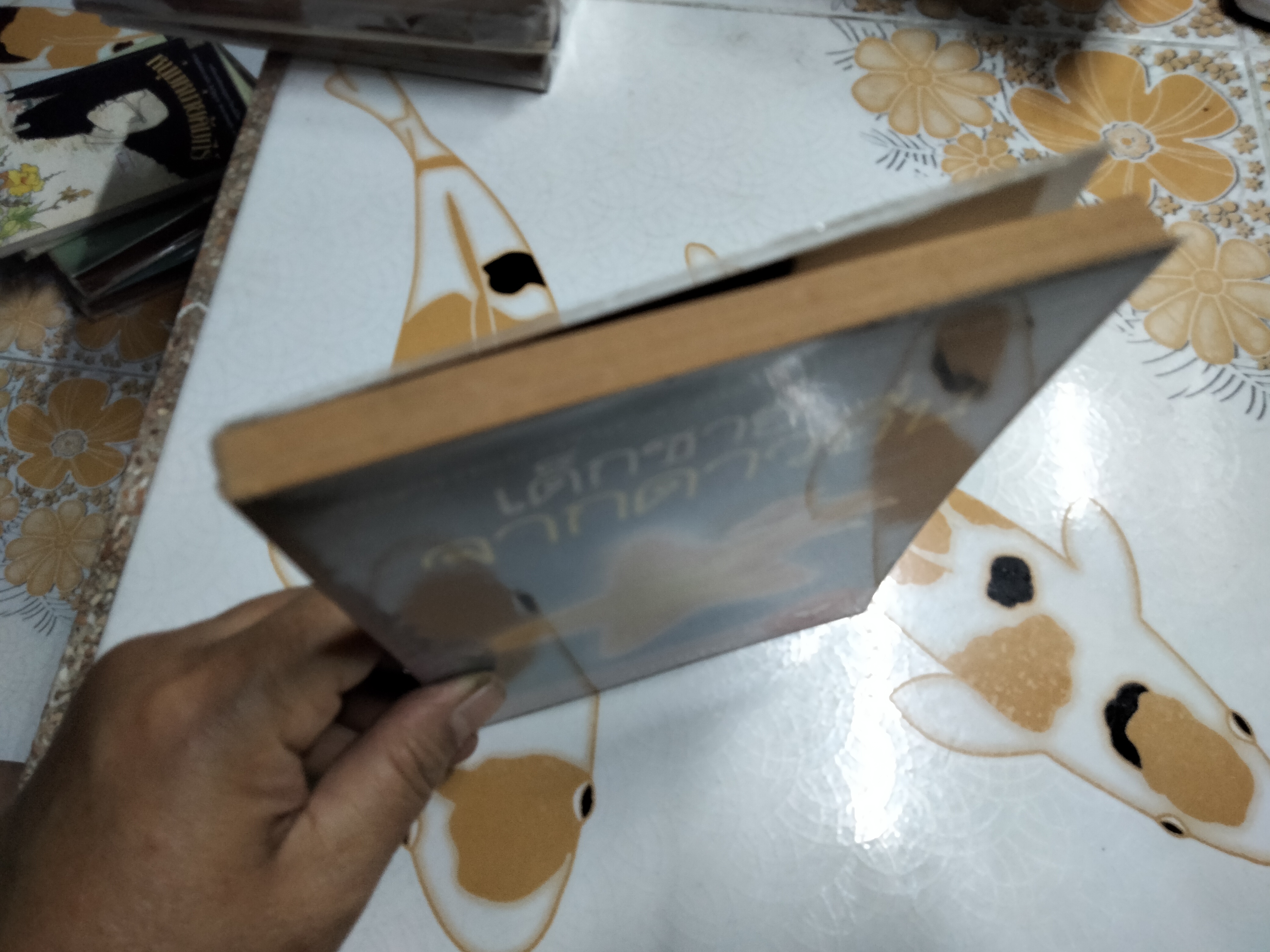 เด็กชายจากดาวอื่น โดย วาวแพร **สินค้าหมด**