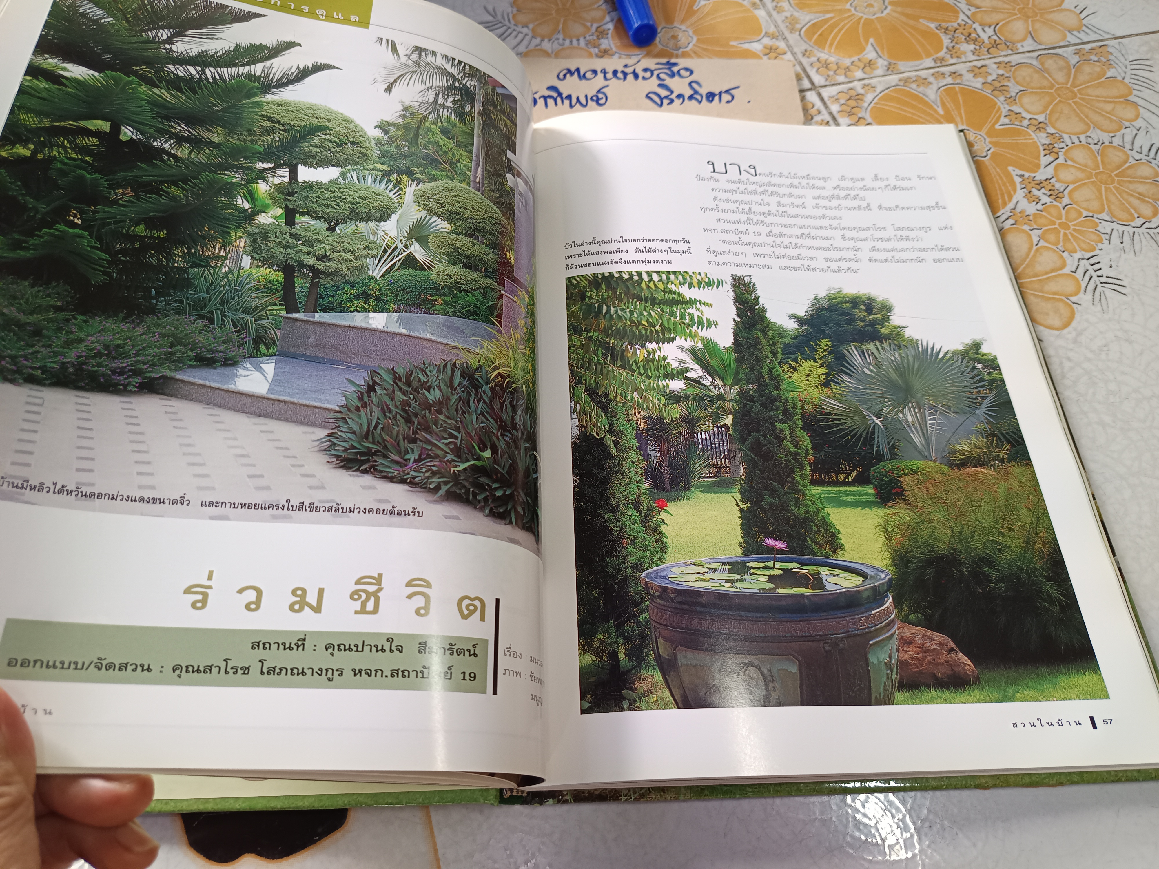 สวนในบ้าน เล่ม 6 - สวนสวยกับการดูแล คู่มือการจัดและตกแต่ง สำนักพิมพ์บ้านและสวน พิมพ์ปีพ.ศ 2541