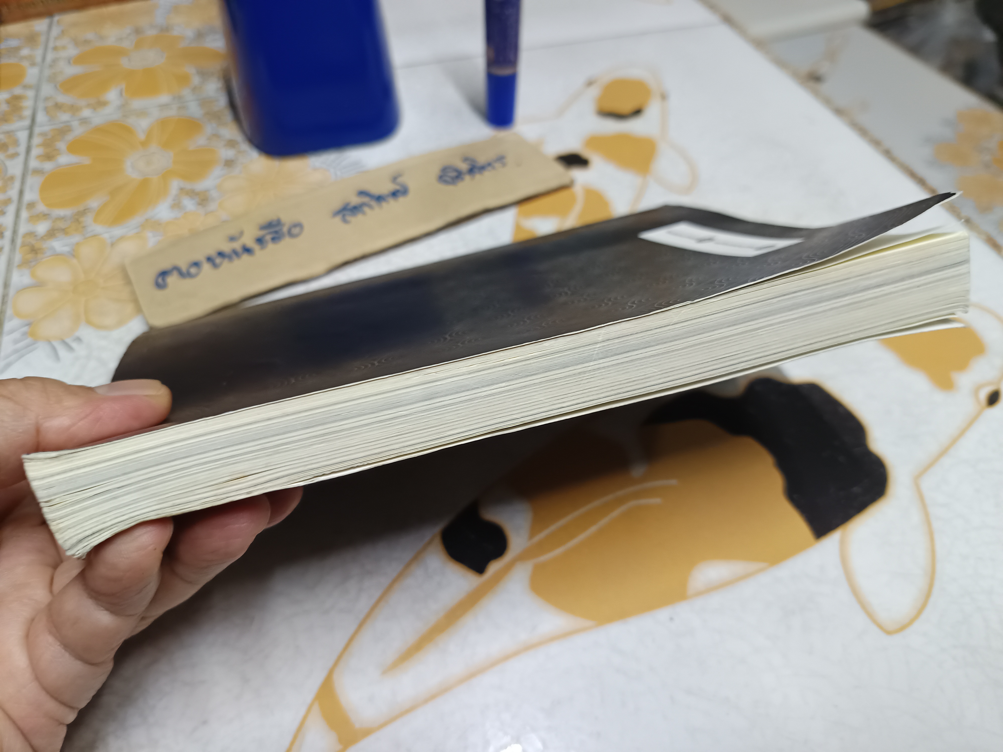 บ้านซ่อนศพ สาววายรำพัน เขียน พิมพ์ครั้งแรกพ.ศ 2561 Deep Publishing