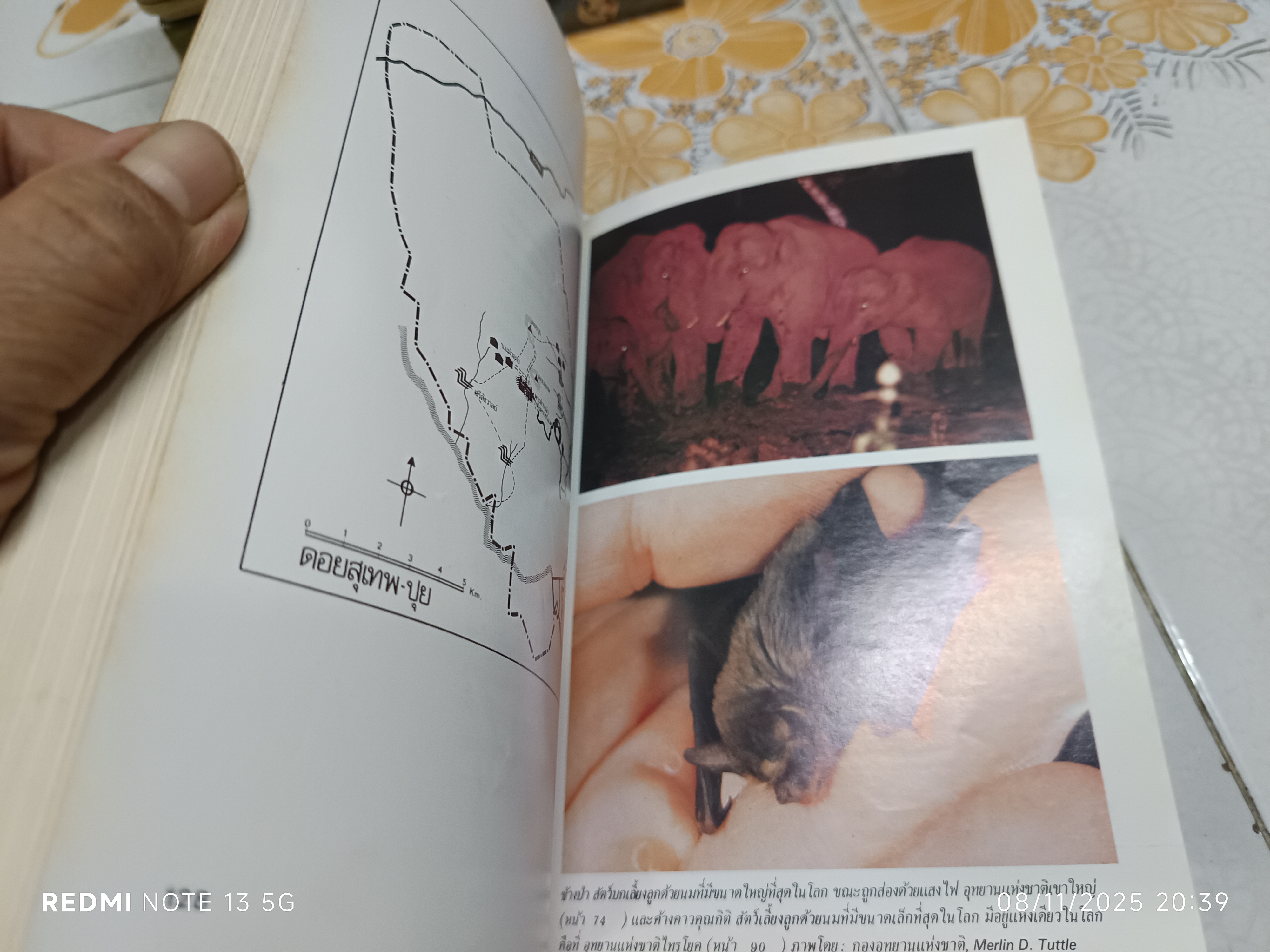 (ขายรวม 2 เล่ม) ท่องเมืองไทย ไปกับเชลล์ + ท่องอุทยานแห่งชาติในประเทศไทย ไปกับเชลล์จัดทำโดย บริษัท เชลล์ แห่งประเทศไทย จำกัด พิมพ์ครั้งแรกพ.ศ. 2525