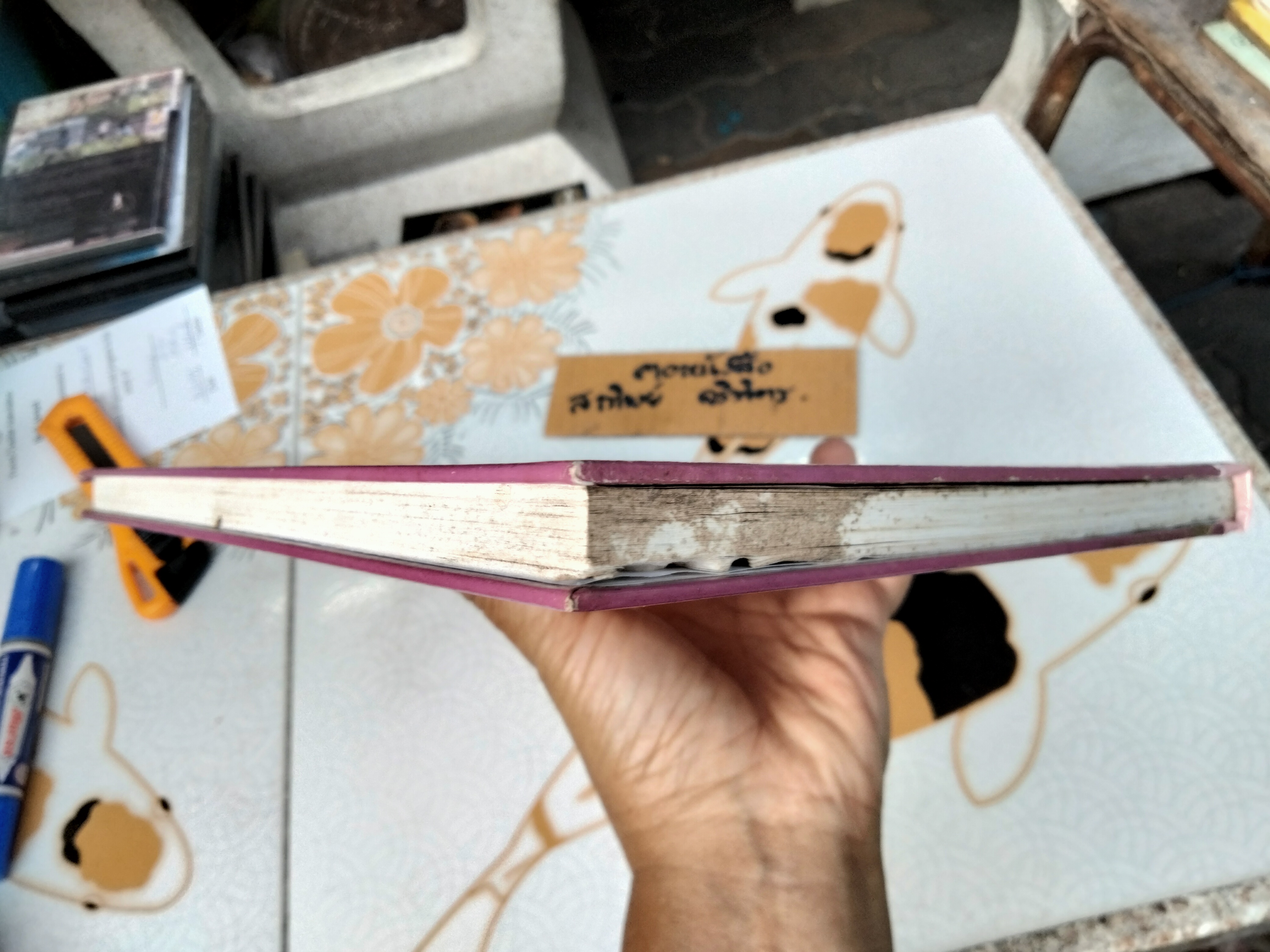 ยุทธจักรฝ่ามือ ฉบับเรียนด้วยตนเอง โดยสมาคมสหพันธ์โหร วัดเอี่ยมวรนุช (ตำหนิ มีรอยปลวกกิน) **สินค้าหมด**