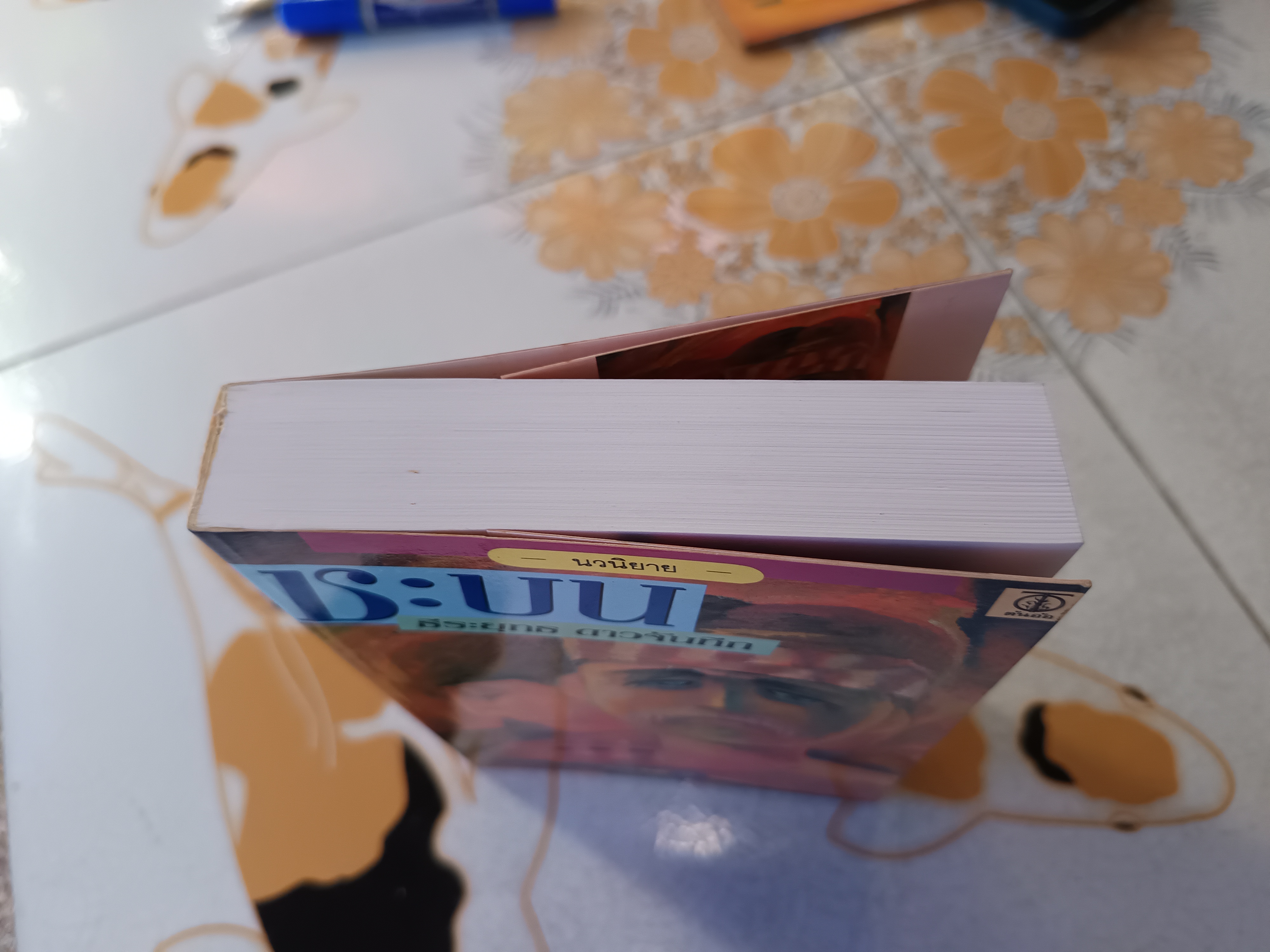 ชะบน โดย ธีระยุทธ ดาวจันทึก