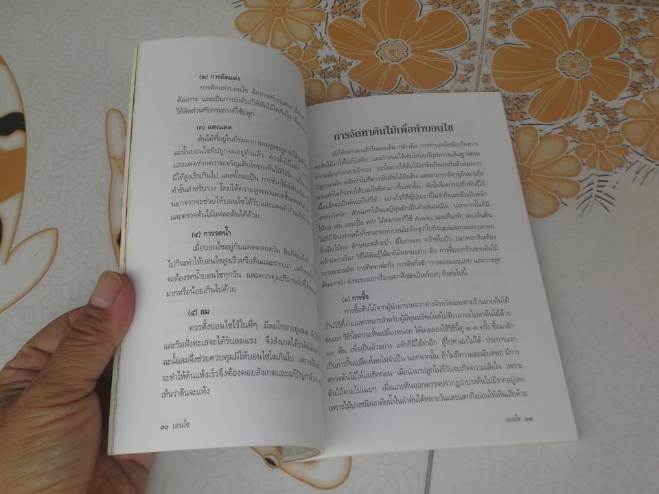 บอนไซ โดย โอสถ โกศิน **สินค้าหมด**