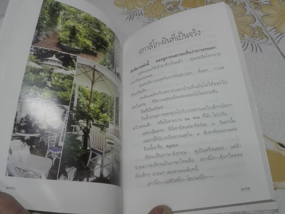 เจ้าเด็ดของยายมา (เล่ม 1) ฉบับพิมพ์ครั้งที่ 1/2545 **สินค้าหมด**