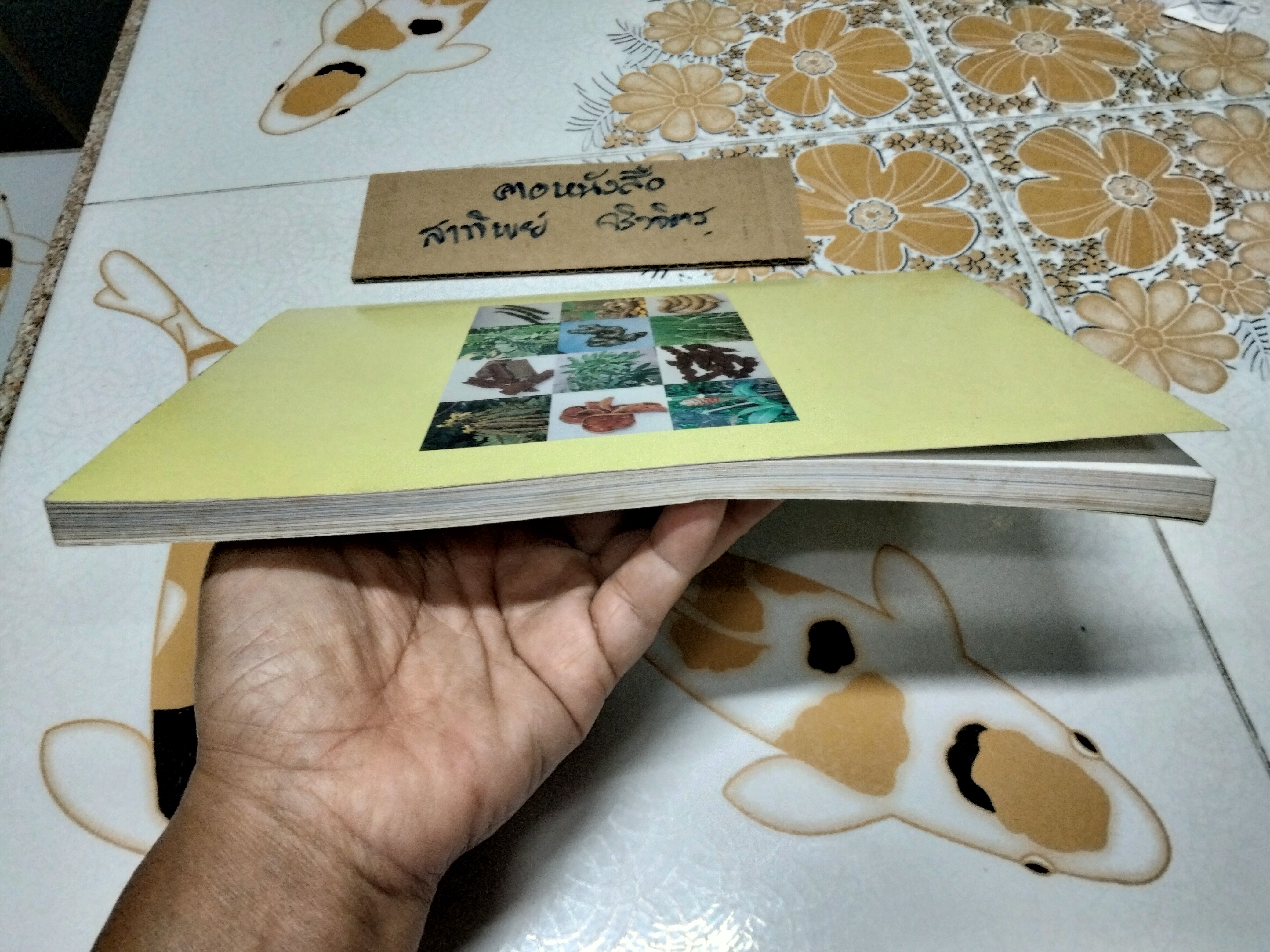 สมุนไพรเพื่อการบำบัดโรค - เรียบเรียงโดย แก้ว กาญจนา **สินค้าหมด*"