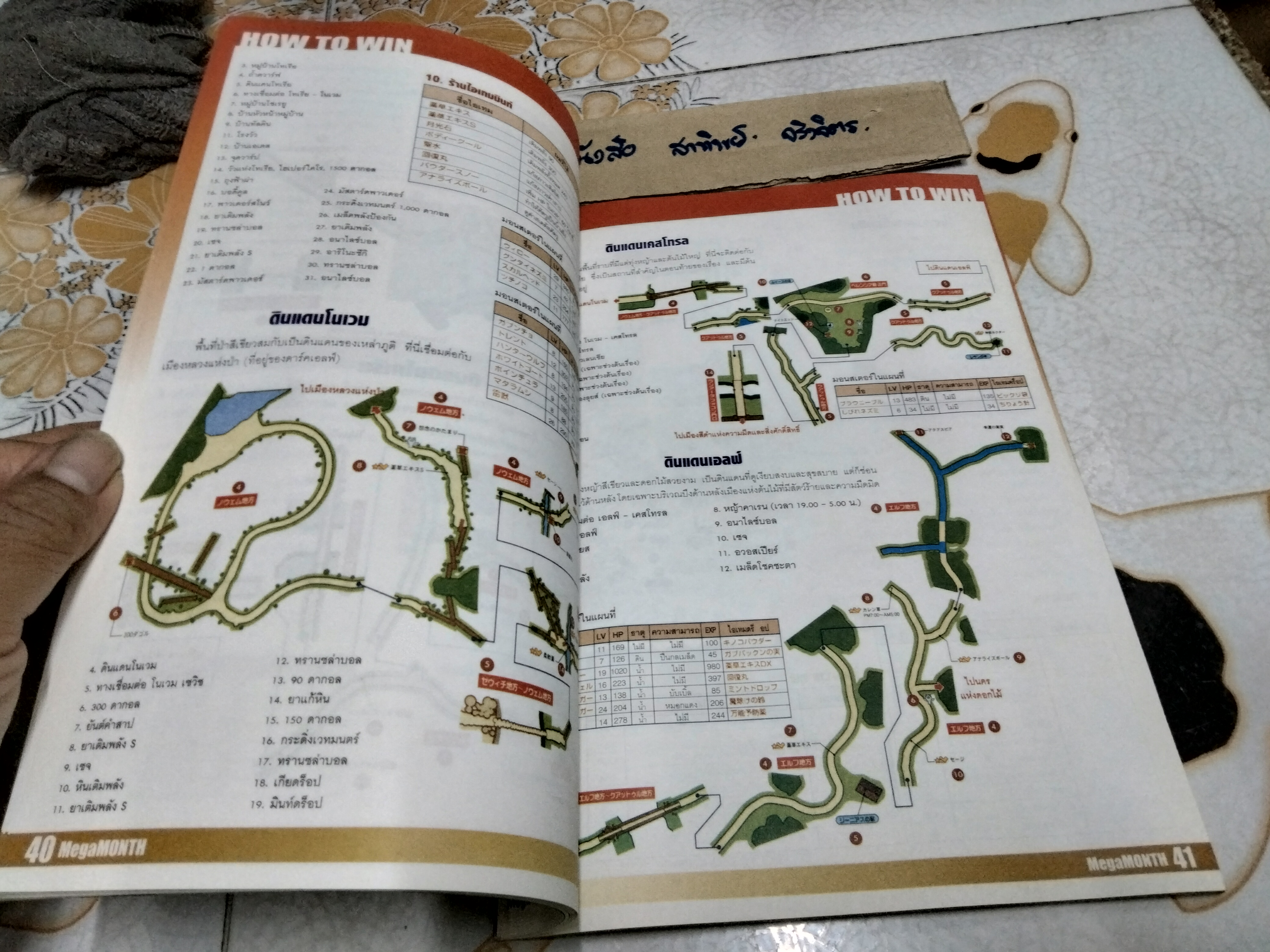 MEGA MONTH Radiata Stories (PS2) May 05 no. 41