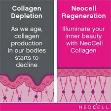 (Pro Order) นีโอเซลล์ คอลลาเจนชนิด 1&3 + วิตามินซี Neocell Super Collagen + C Type 1 & 3, 6000mg 120 Tablets บำรุงผิว ผม เล็บ และกระดูก