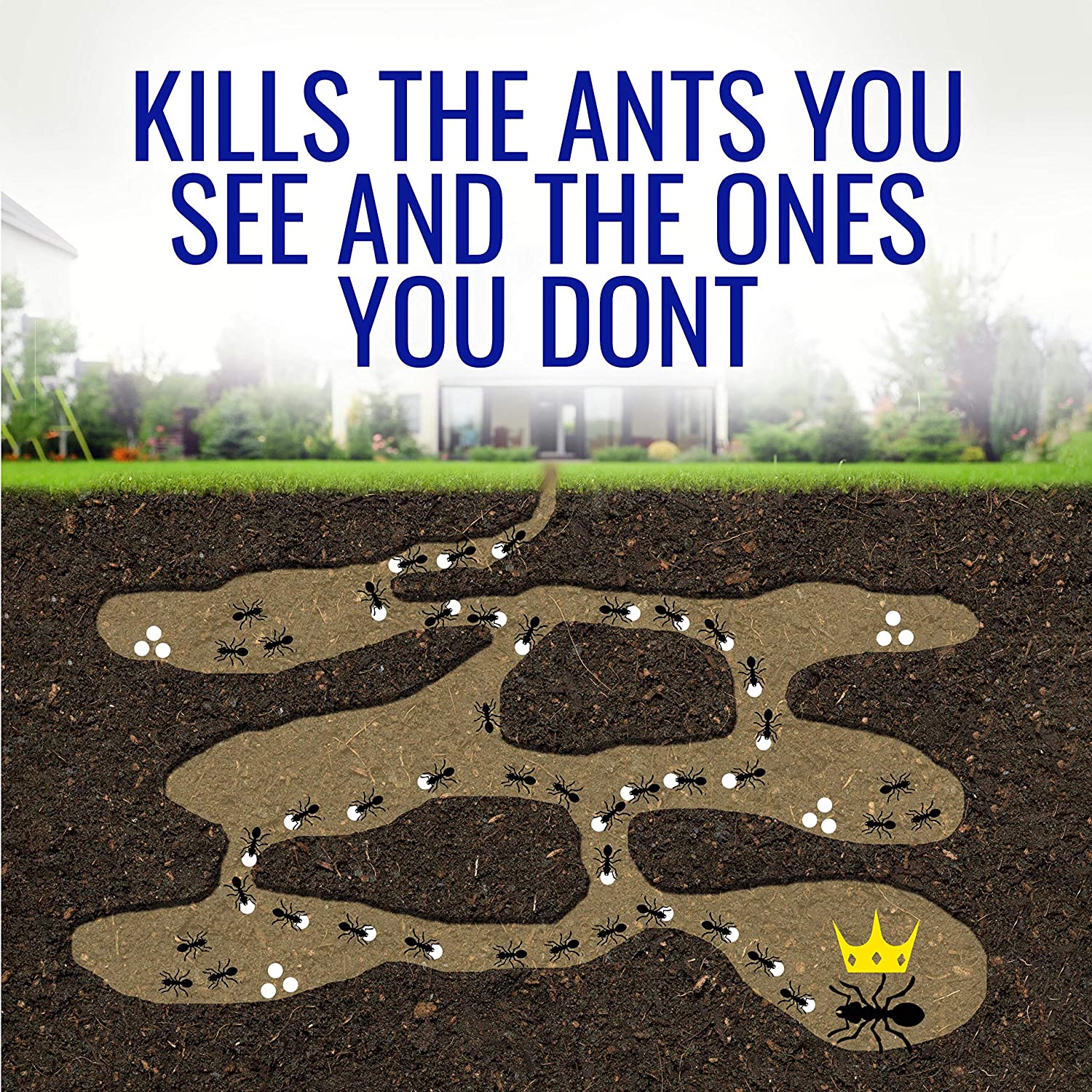 TERRO® T360 Ant & Roach Baits 4 Bait Stations ผลิตภัณฑ์กำจัดมดและแมลงสาบ