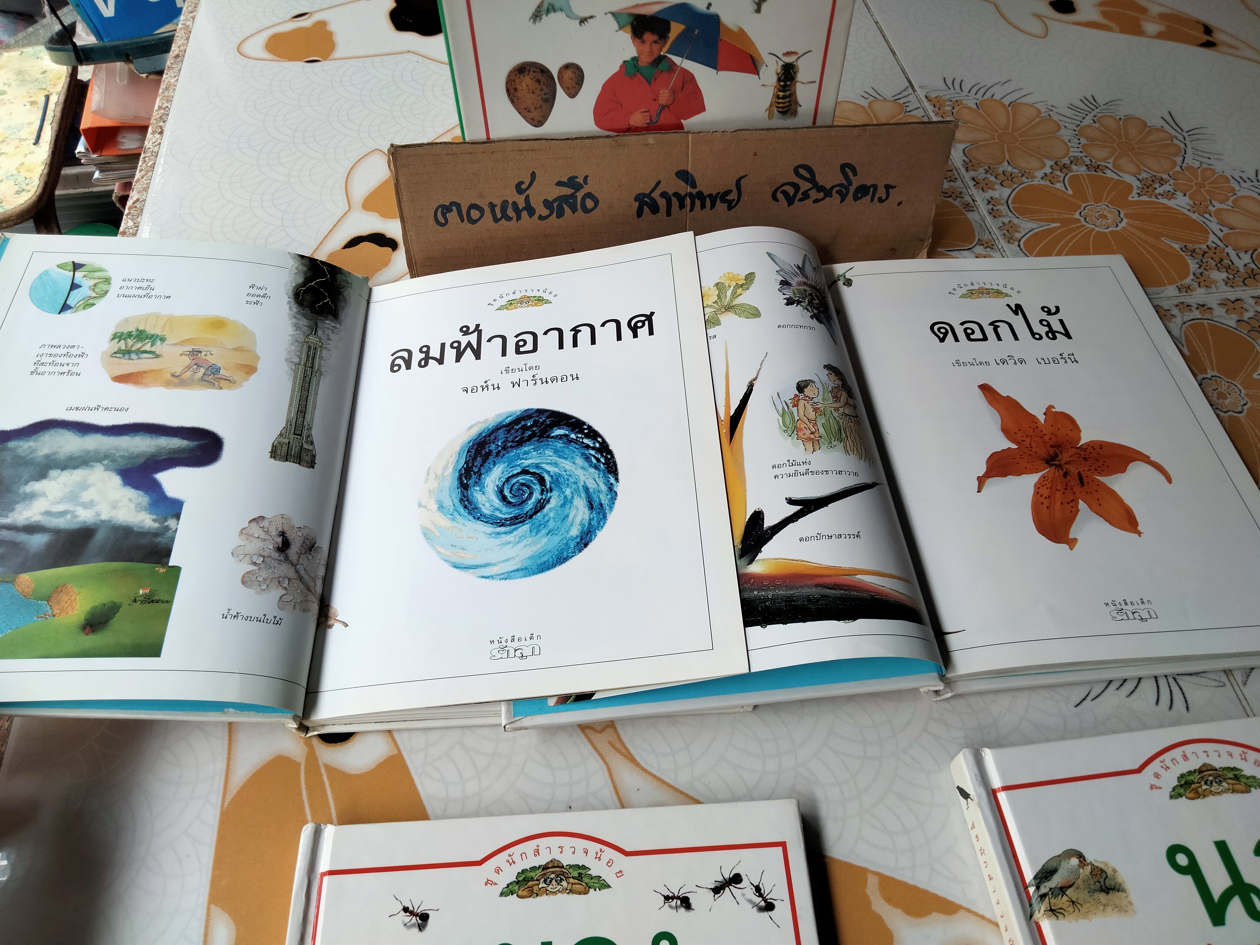 หนังสือชุดนักสำรวจน้อย-ลมฟ้าอากาศ, ดอกไม้, แมลง ,นก (Boxset) **สินค้าหมด**