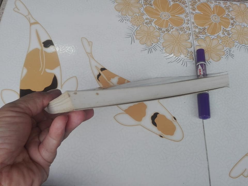 เซนสู้ชีวิต Diary Of A Zen Nun นัน ชิน (แนนซี แอมฟอกซ์) รจนา , ปริญญ์ ปราชญานุพร พากย์ไทย **สินค้าหมด**